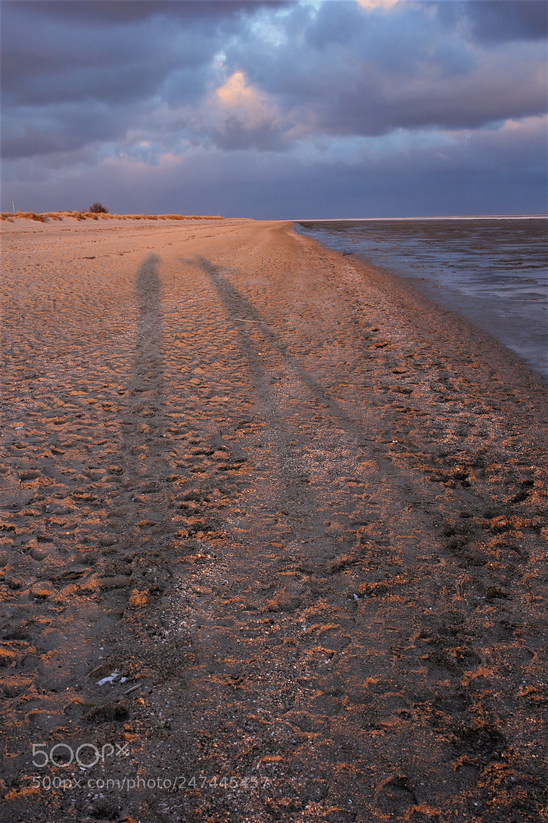 Canon EOS 60D sample photo. Shadows in the sand photography