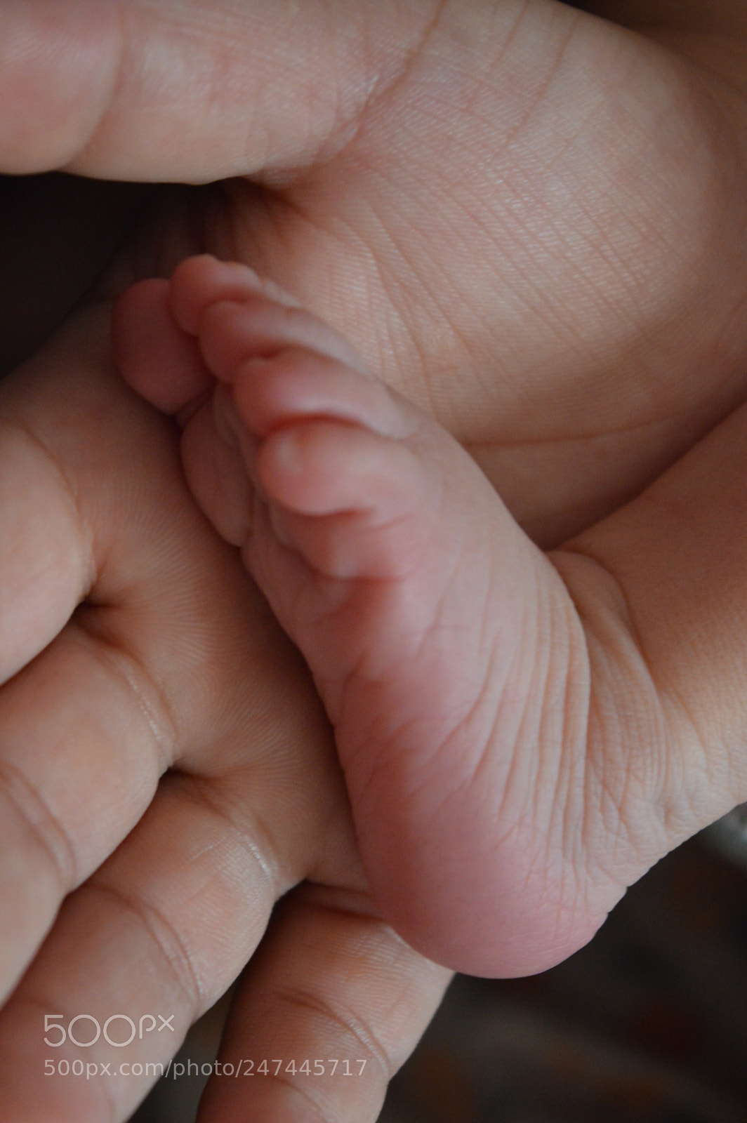 Nikon D3200 sample photo. My baby2 photography