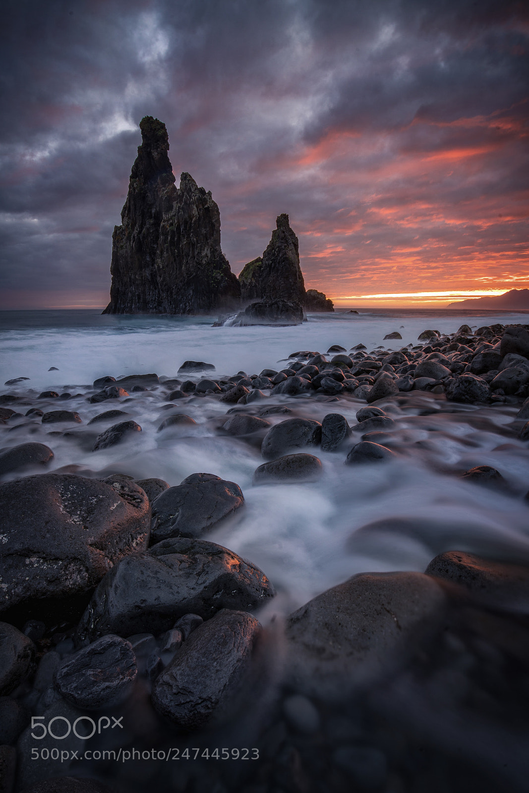 Sony a7R II sample photo. Morning sun in madeira photography