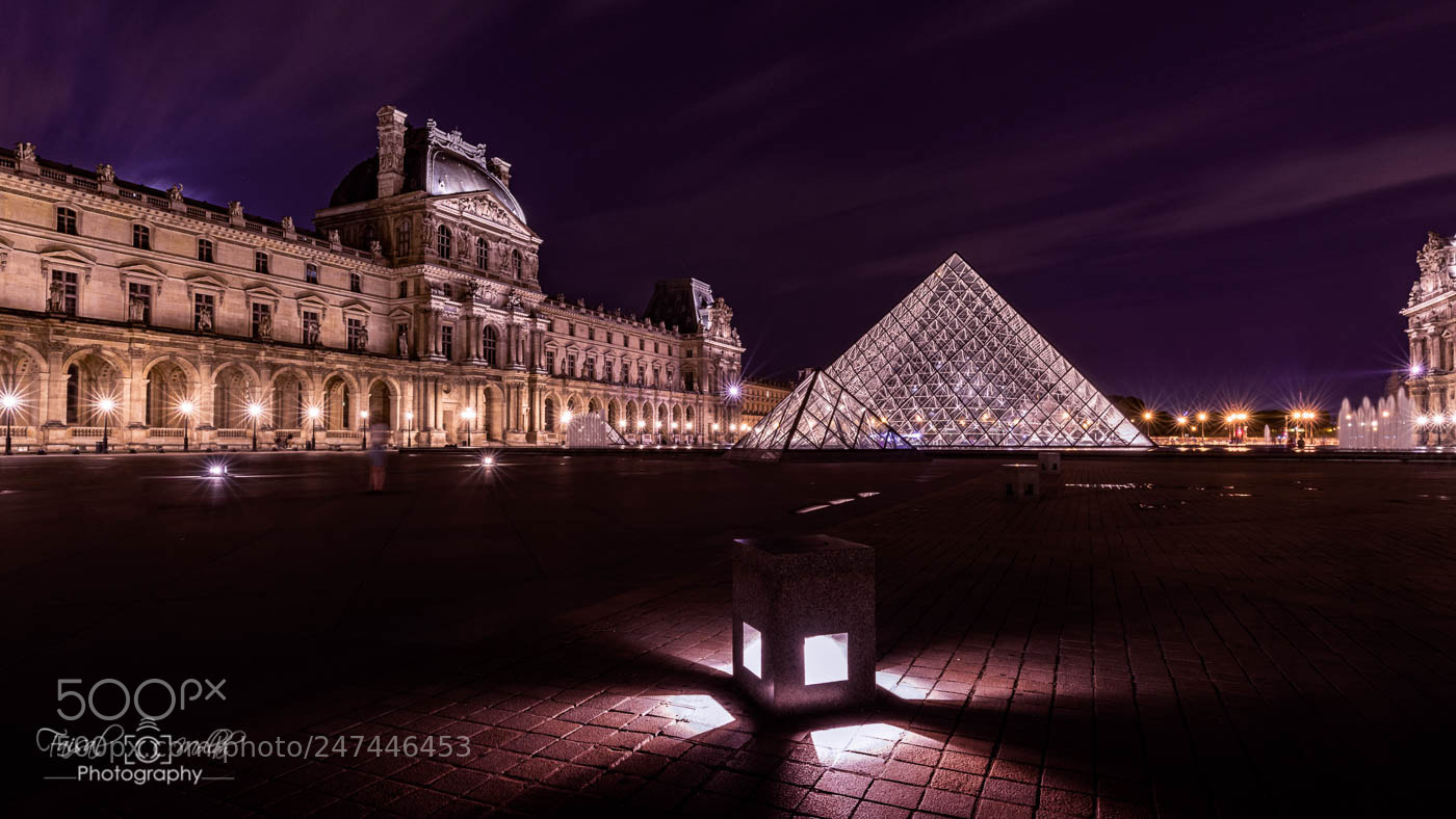 Nikon D810 sample photo. Louvre photography
