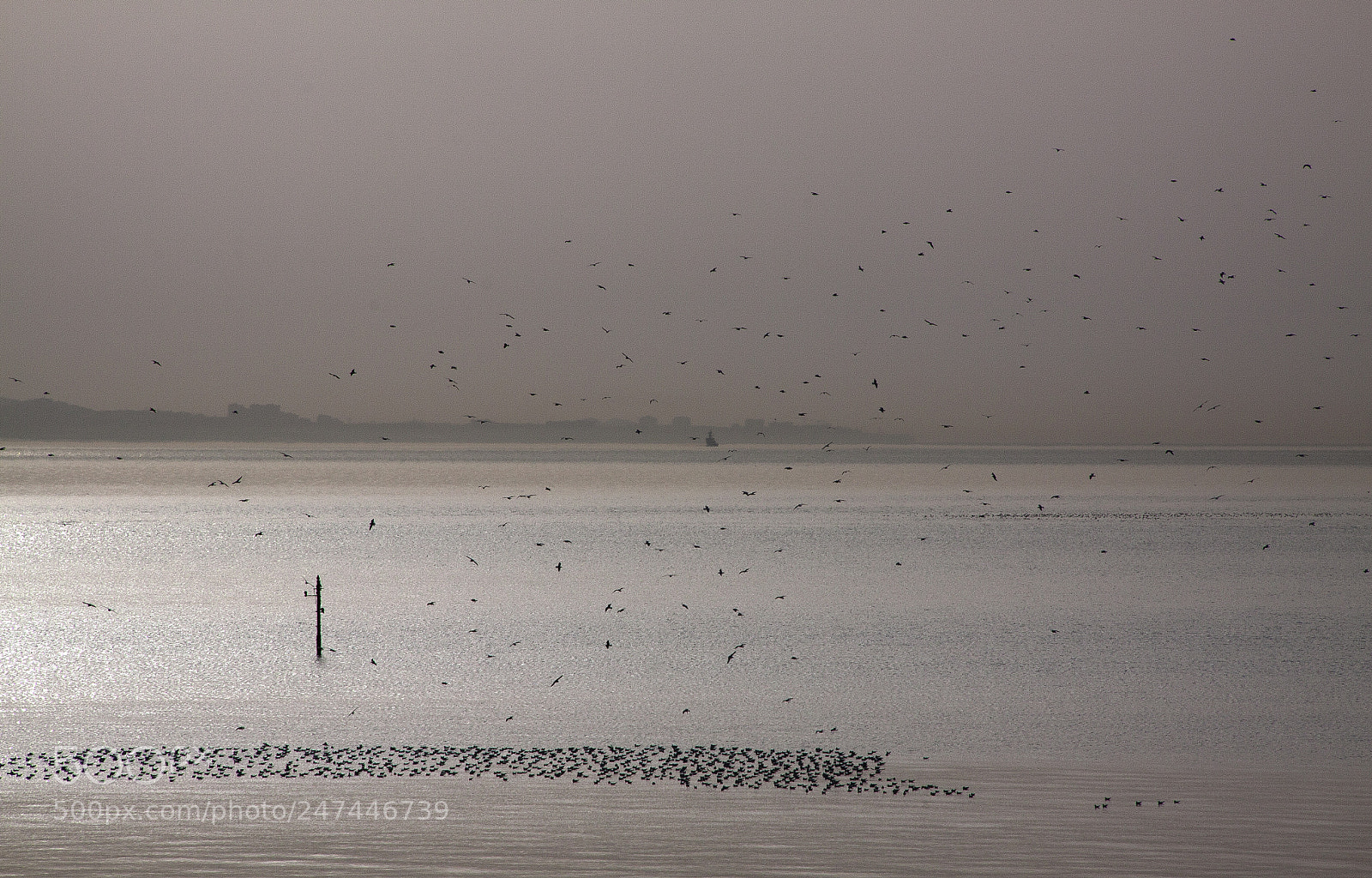 Canon EOS 50D sample photo. Morning photography