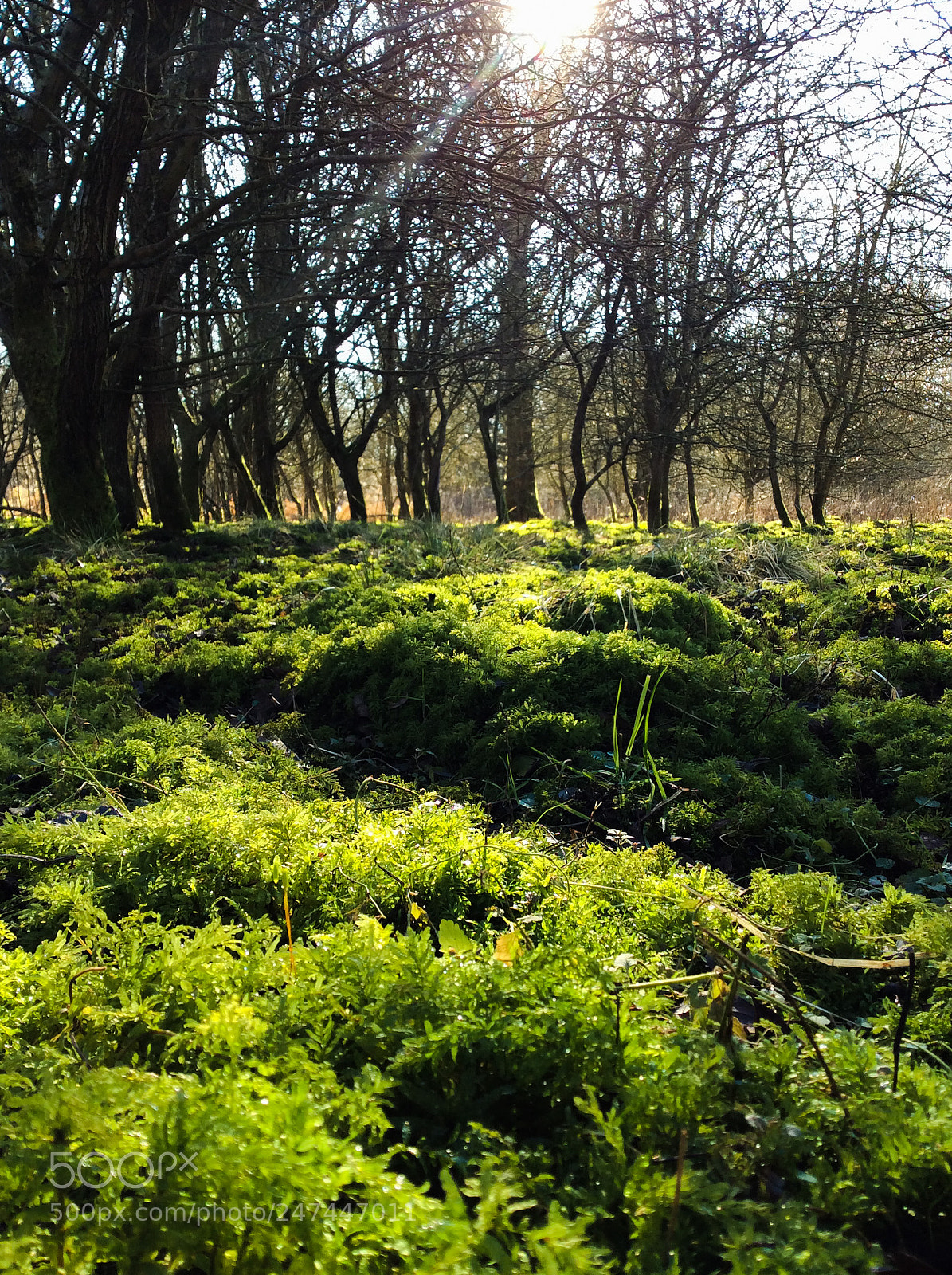 Apple iPad mini 2 sample photo. My favourite place photography