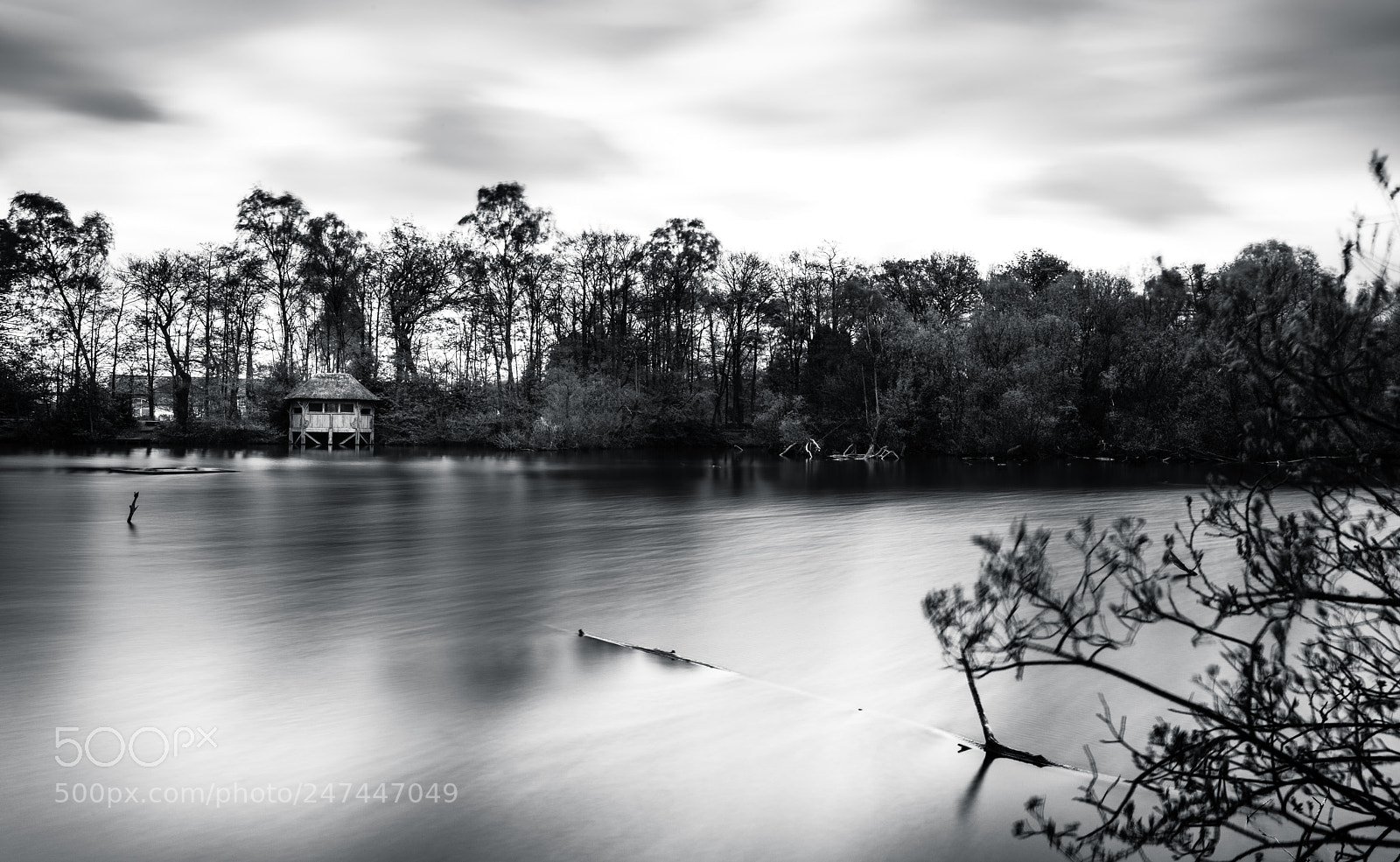 Nikon D810 sample photo. Bird hide at the photography