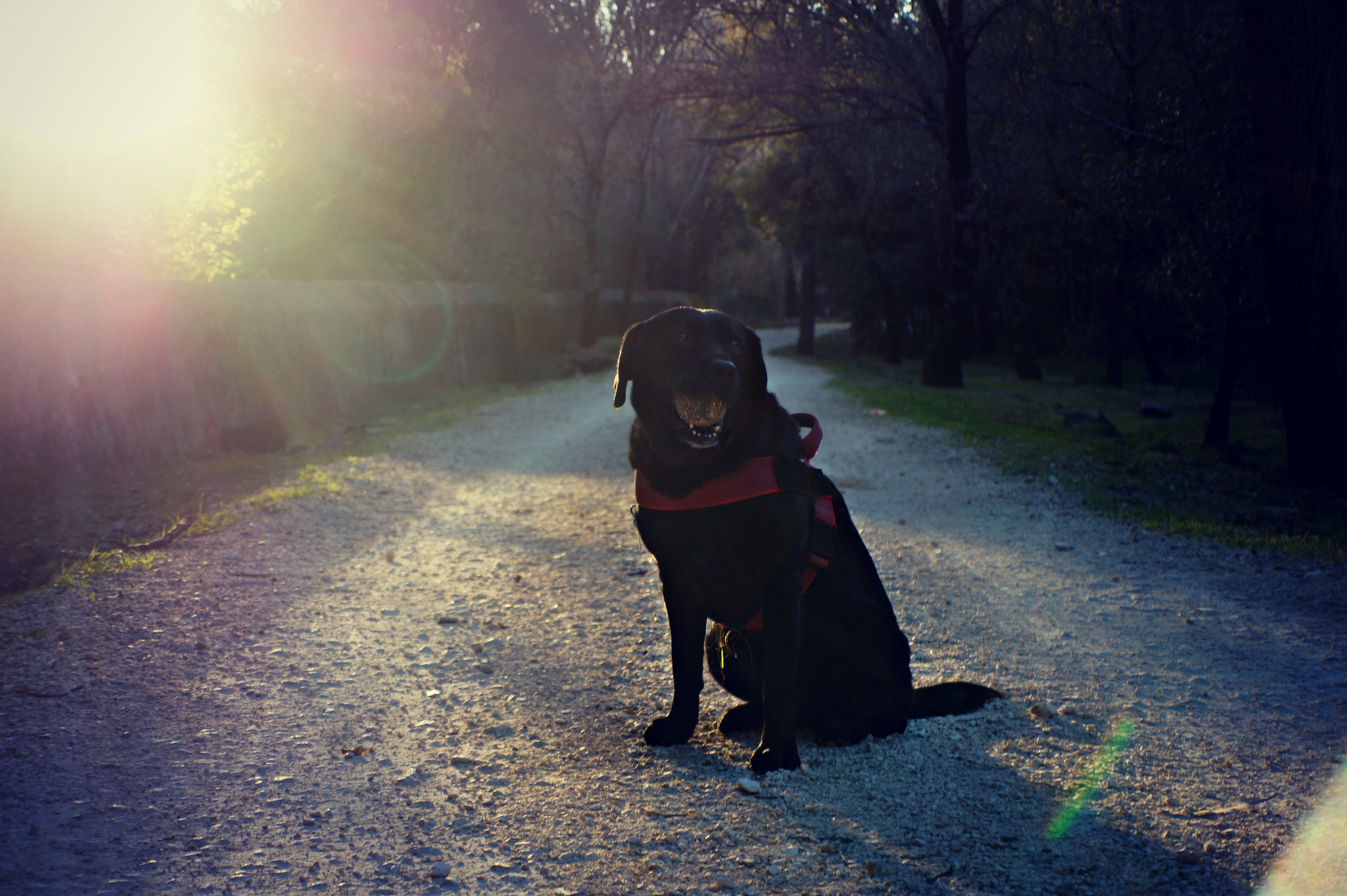 Sony E 18-55mm F3.5-5.6 OSS sample photo. Ballaholic since 2007 photography