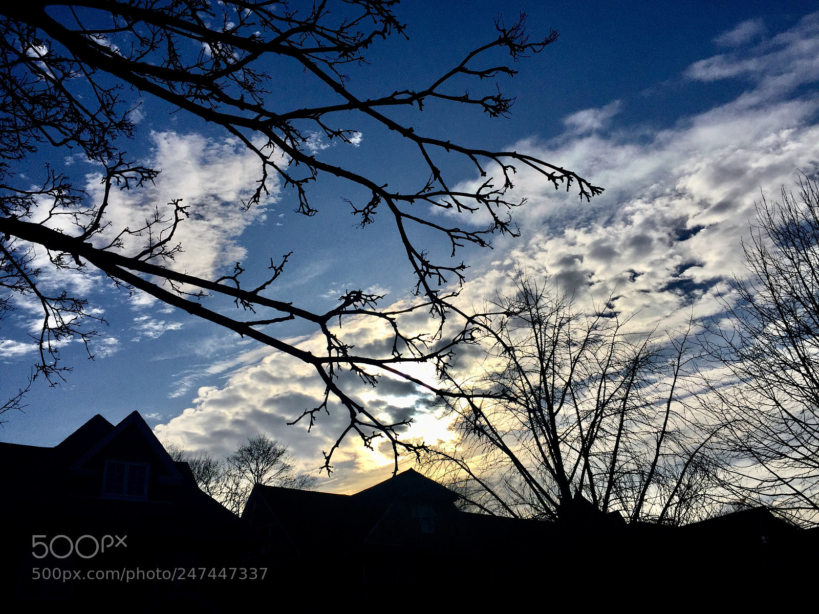 Apple iPhone 6 Plus sample photo. “neighborhood sky” photography