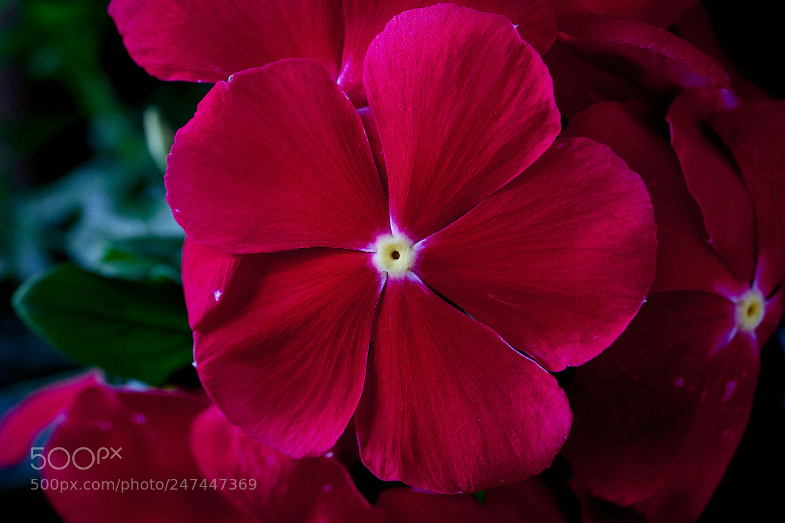 Sony a7 sample photo. Abg_180217_11.jpg photography