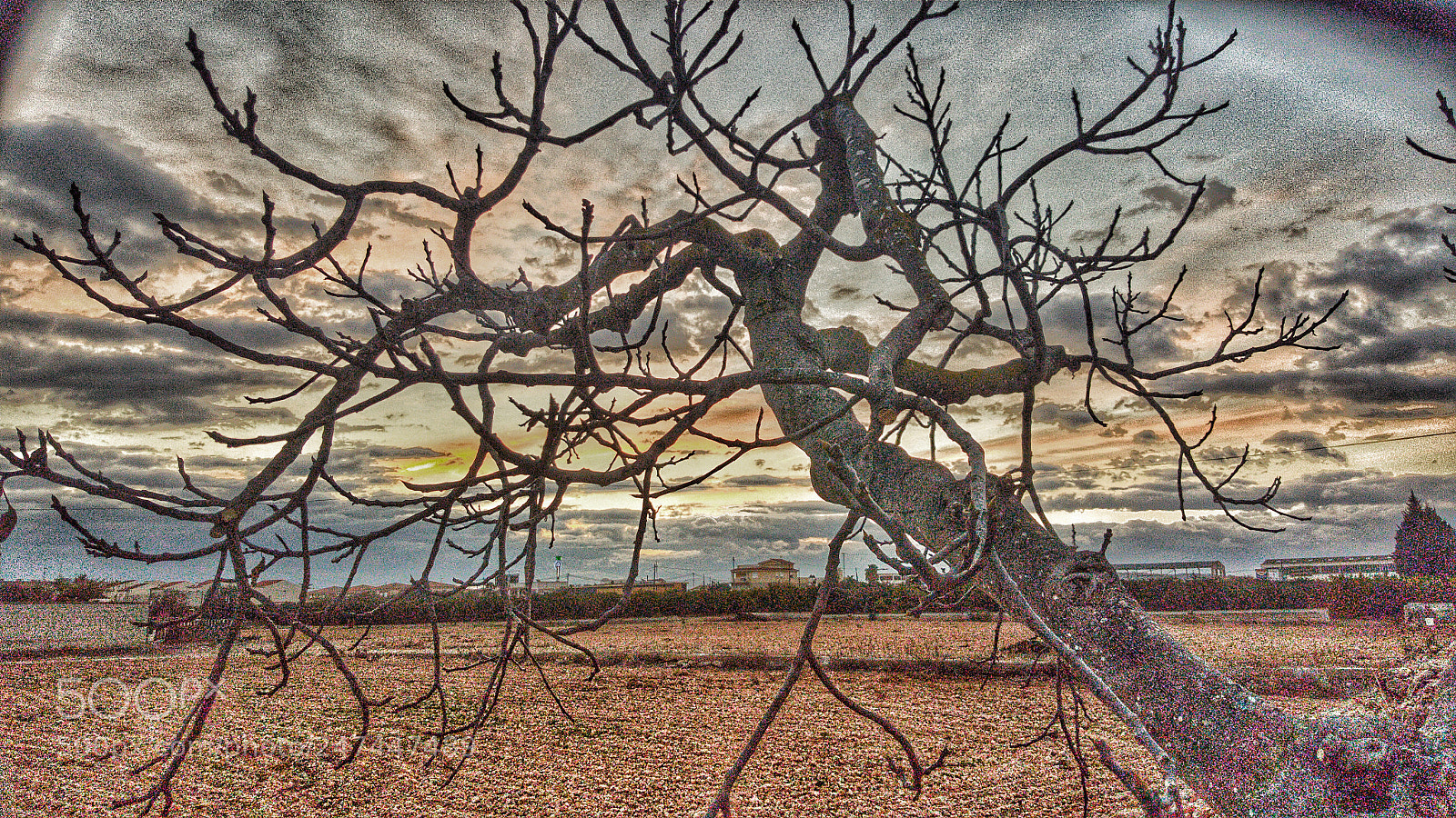 Samsung GALAXY S6 edge sample photo. Cloudy sunset photography