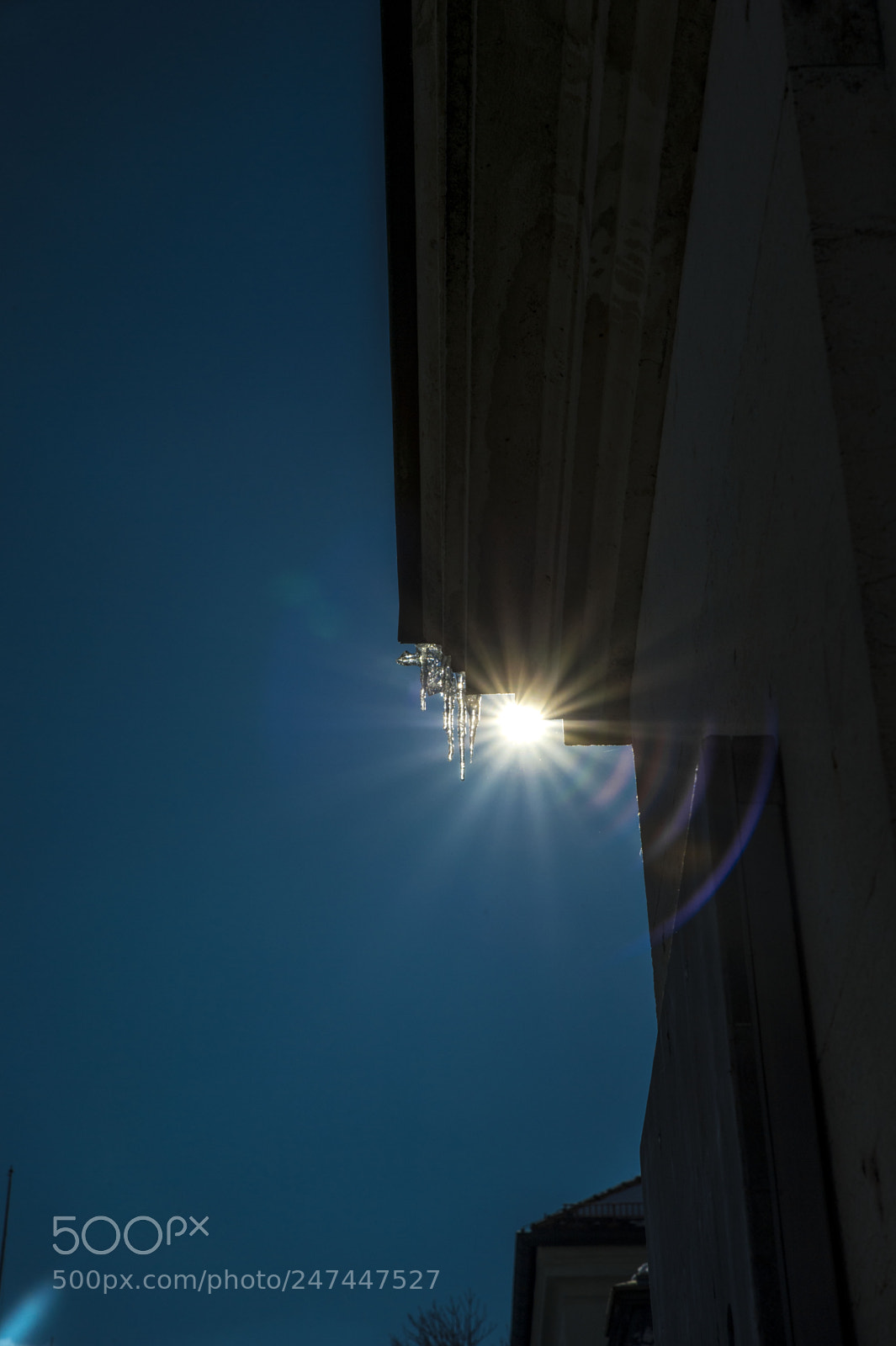 Nikon D4 sample photo. Sun and ice photography