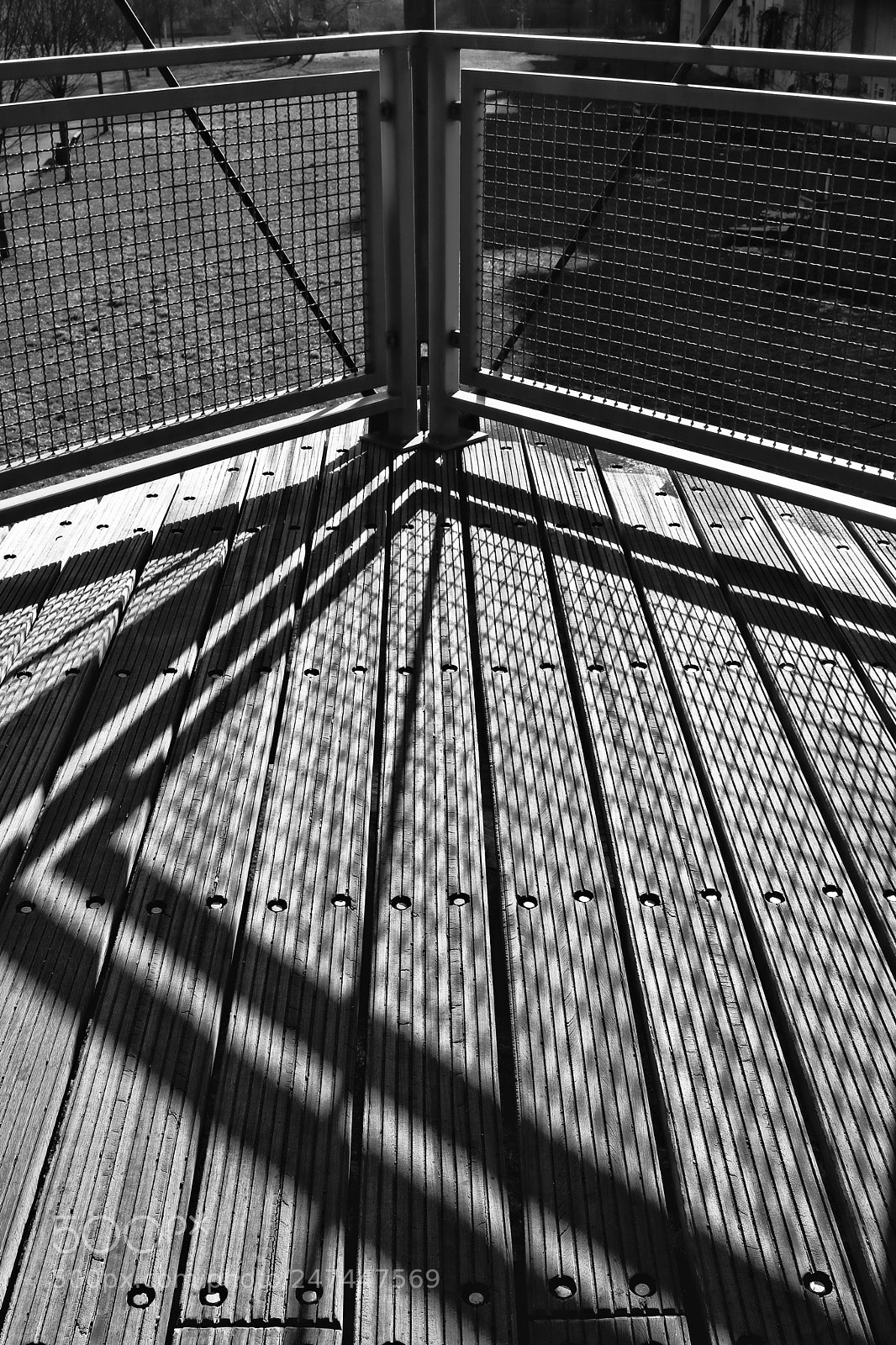Canon EOS 760D (EOS Rebel T6s / EOS 8000D) sample photo. Crossing lines photography