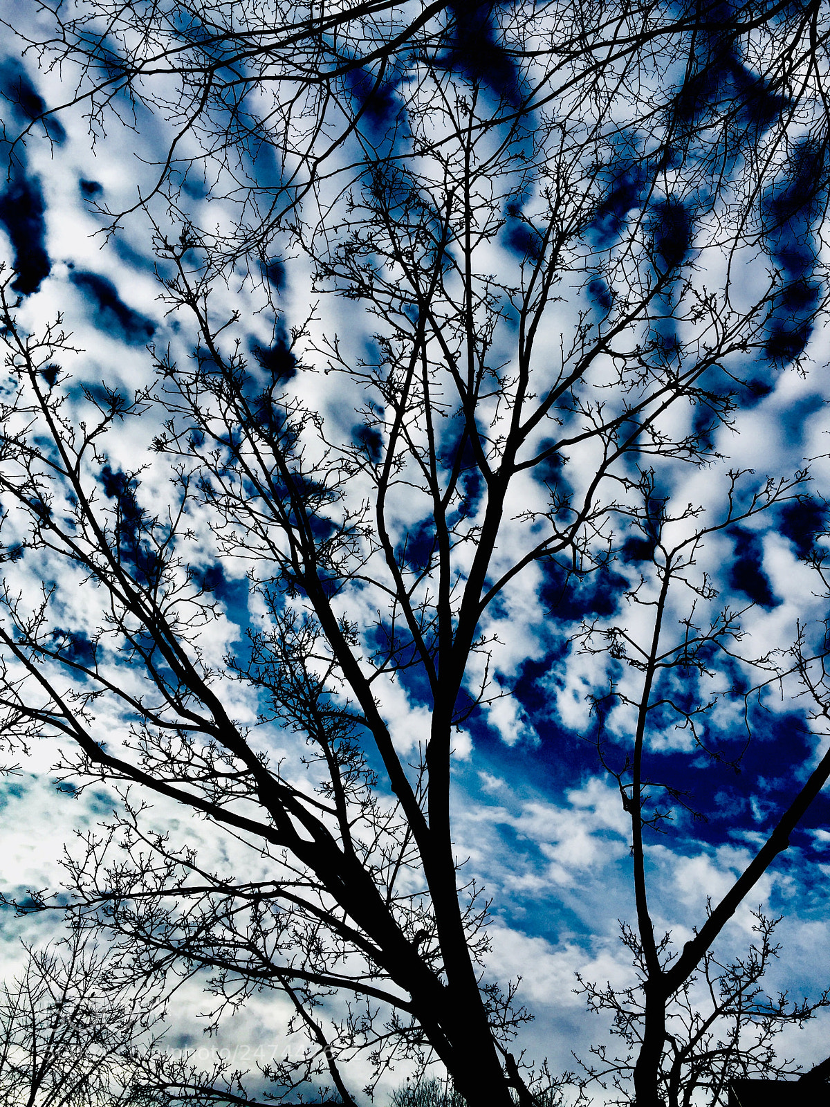 Apple iPhone 6 Plus sample photo. “inky blue clouds” photography