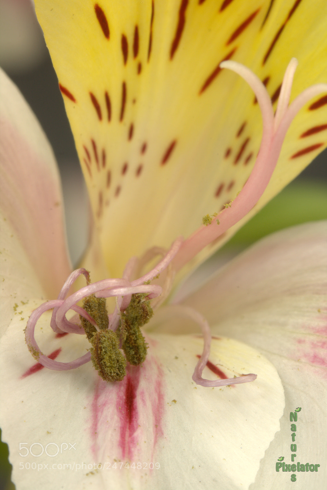 Canon EOS 750D (EOS Rebel T6i / EOS Kiss X8i) sample photo. Right so here's what photography