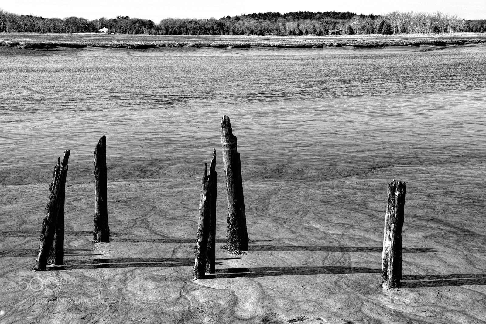 Nikon D810 sample photo. Low tide photography