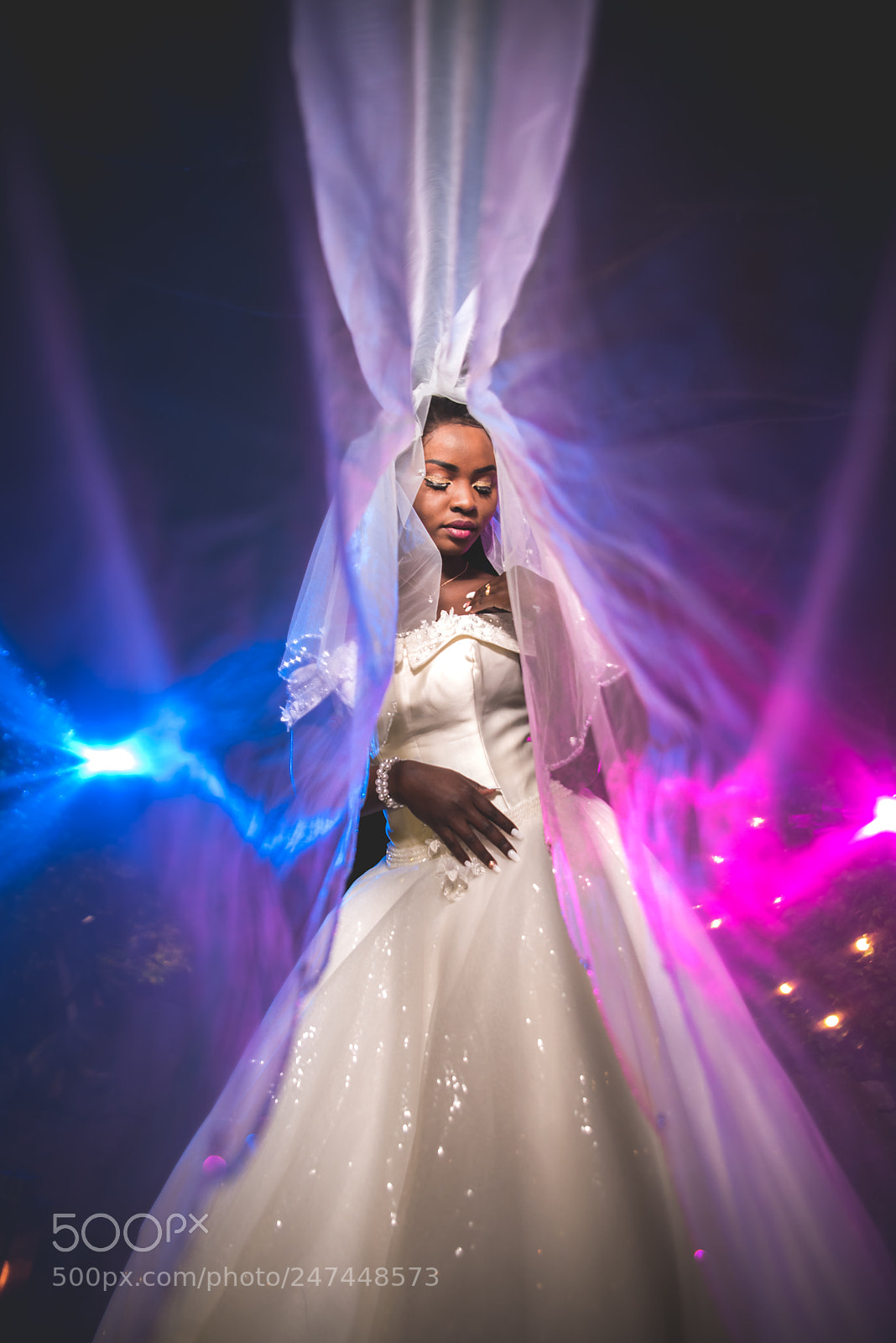 Nikon D810 sample photo. Elegant bride photography