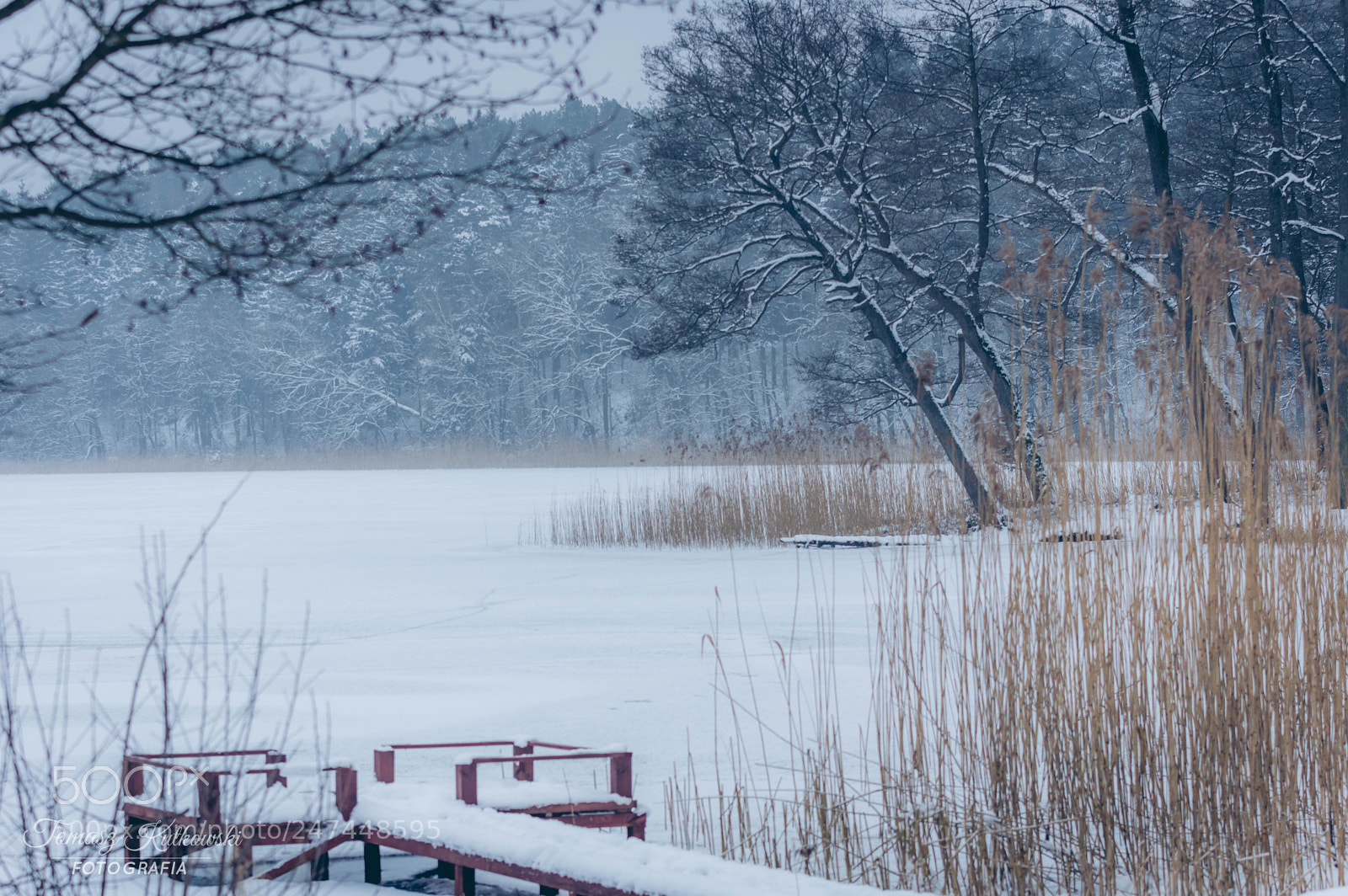 Pentax K-3 sample photo. Lake dobre poland photography