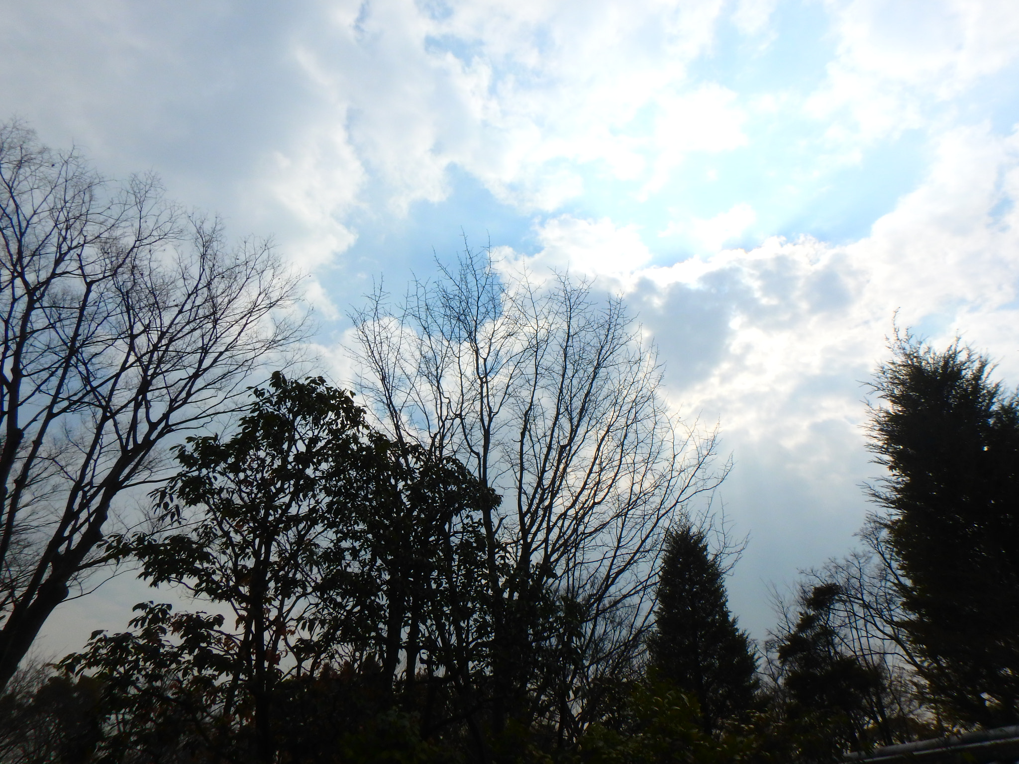 Olympus TG-870 sample photo. Beautifull sky^^ photography