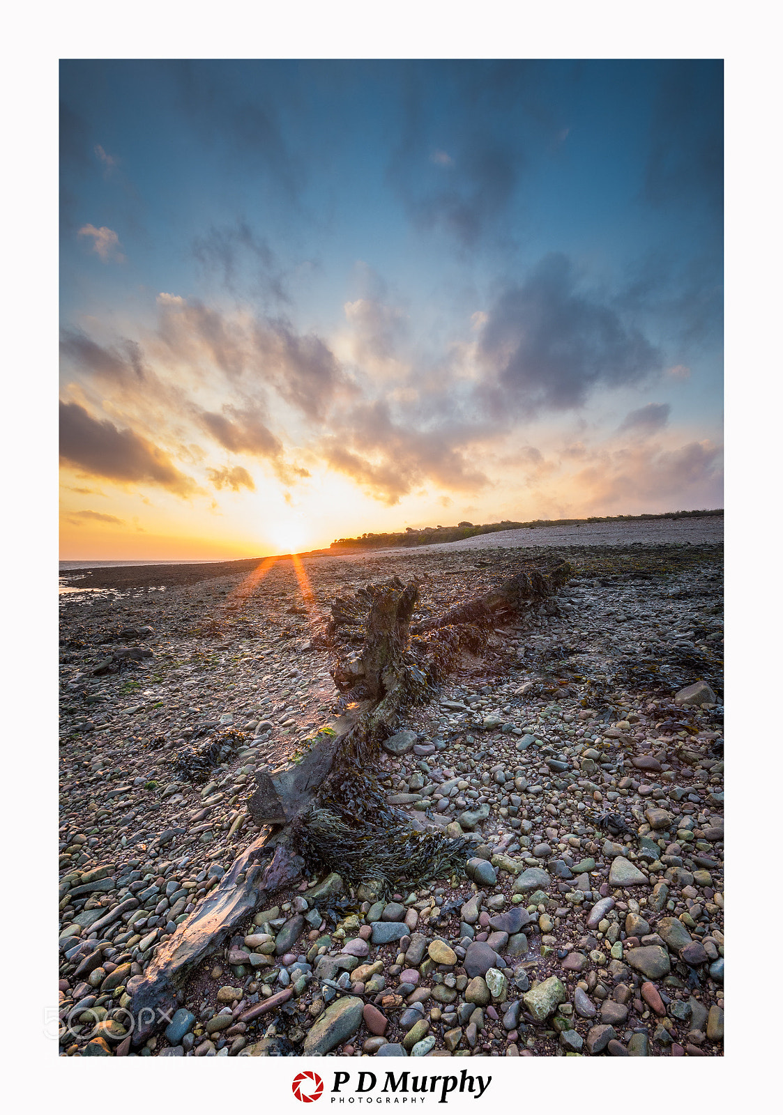 Nikon D7200 sample photo. The sully island wreck photography