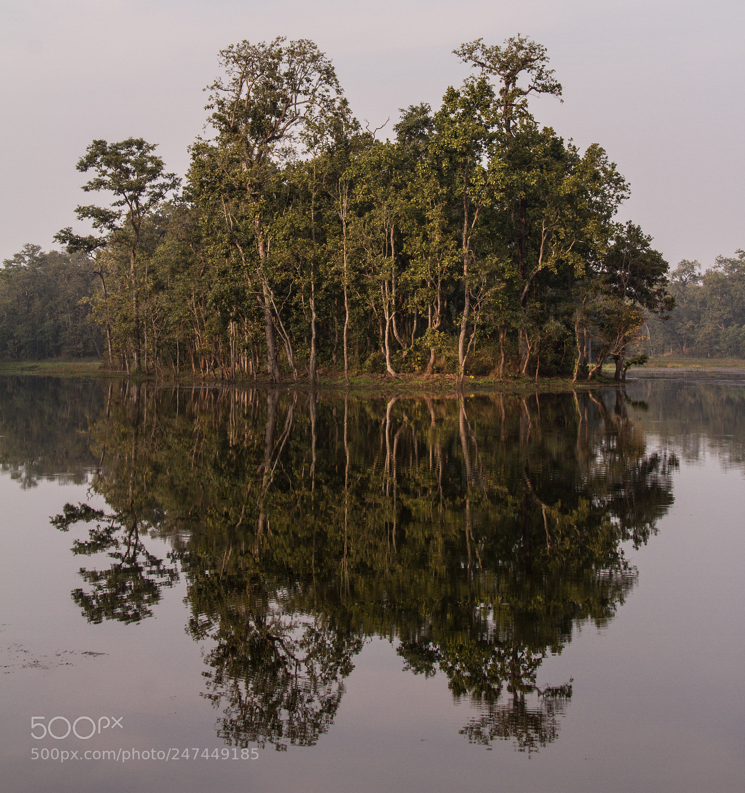 Canon EOS 7D sample photo. Reflection photography