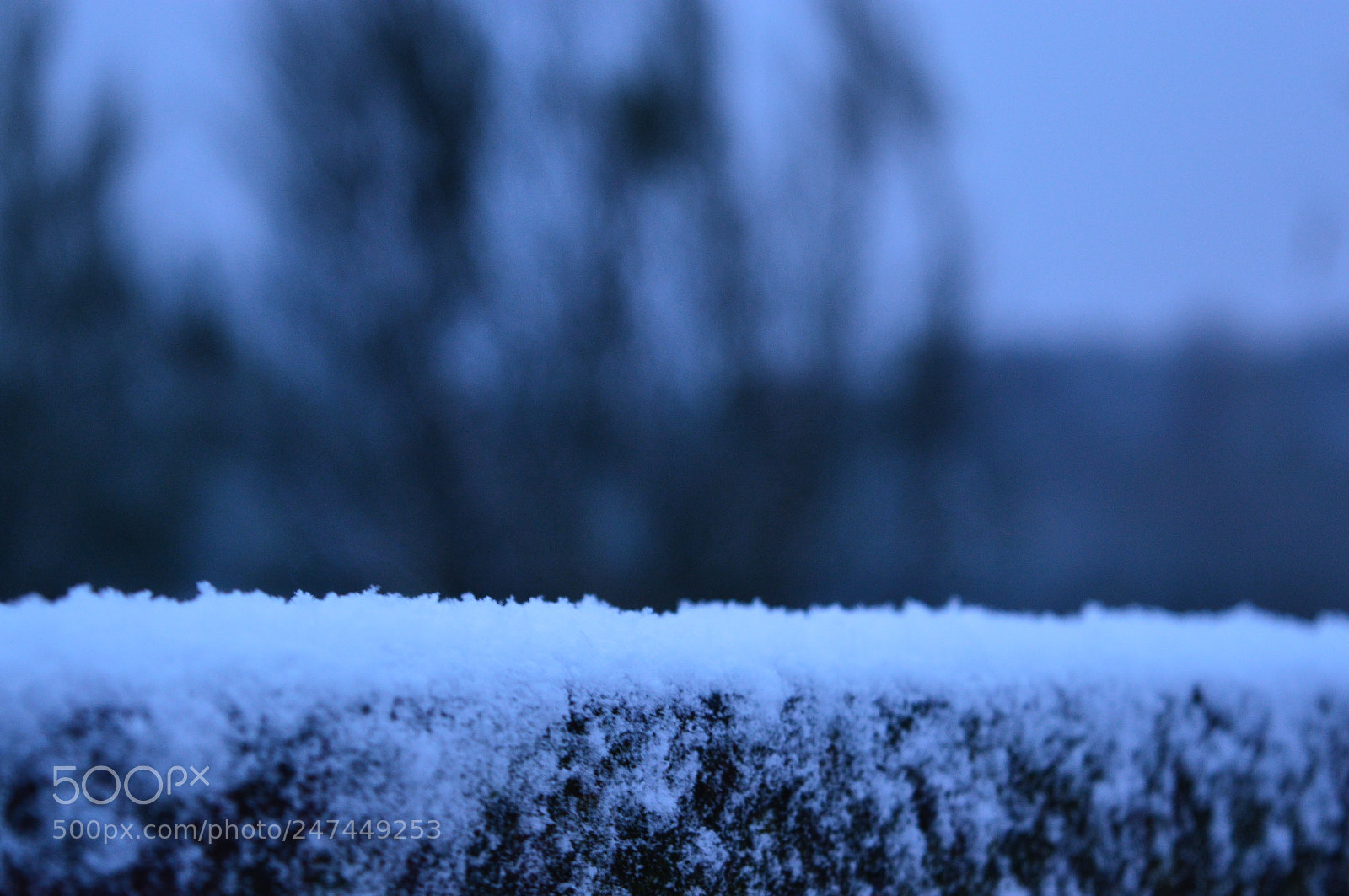 Nikon D3200 sample photo. Jour de neige ❄️ photography