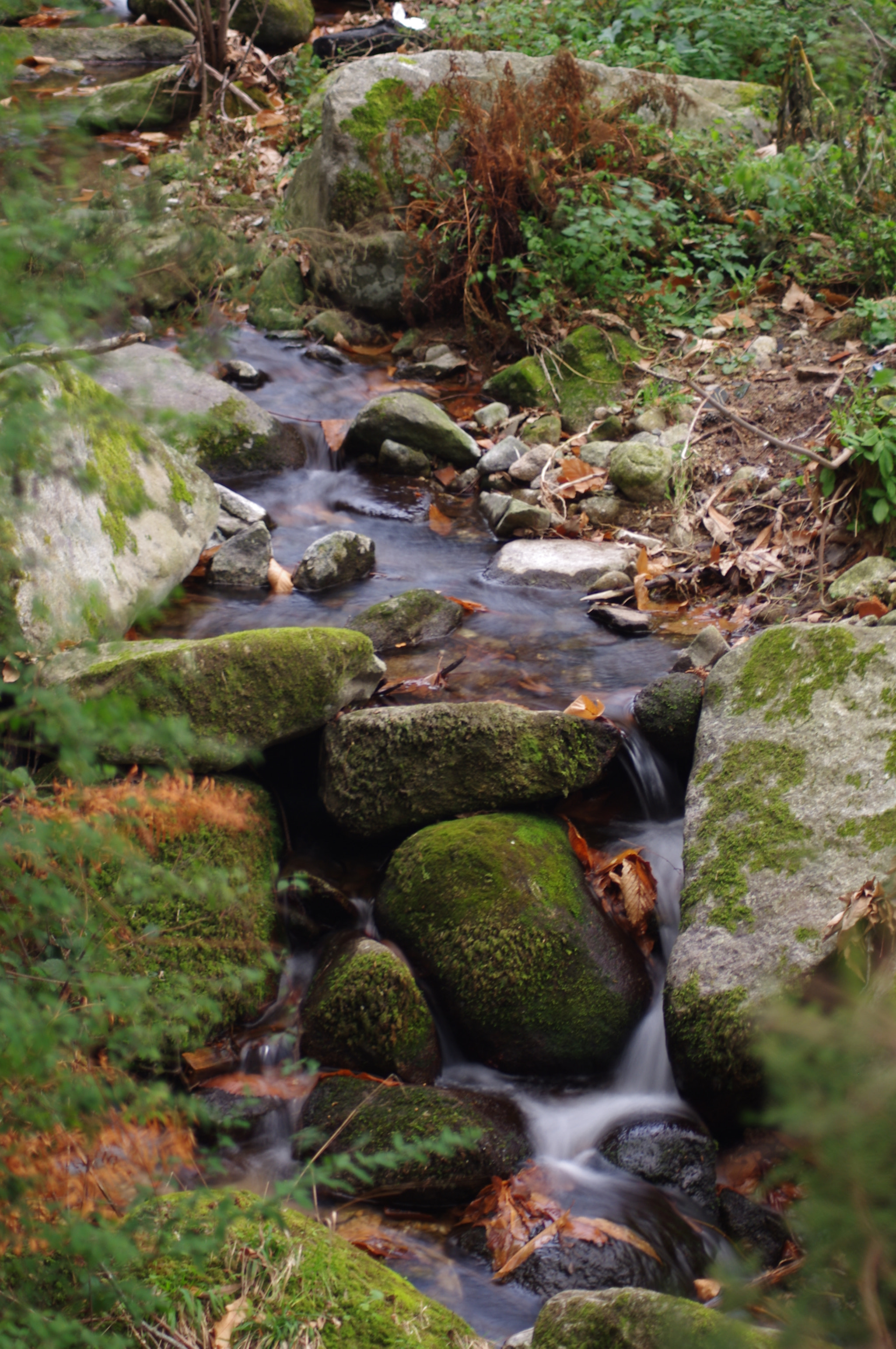 Pentax K-r sample photo. Silk water photography