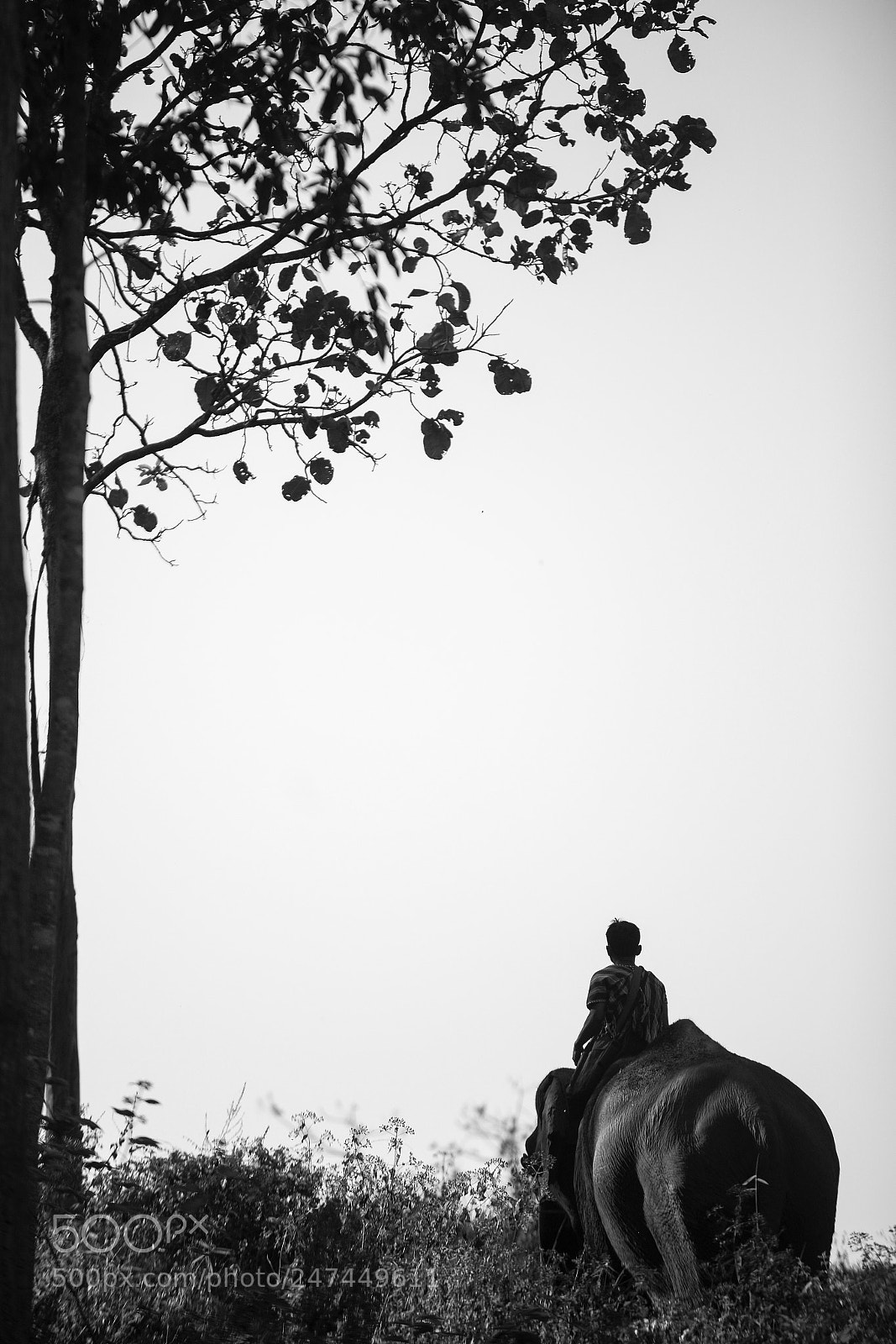 Nikon D800E sample photo. Take me home photography