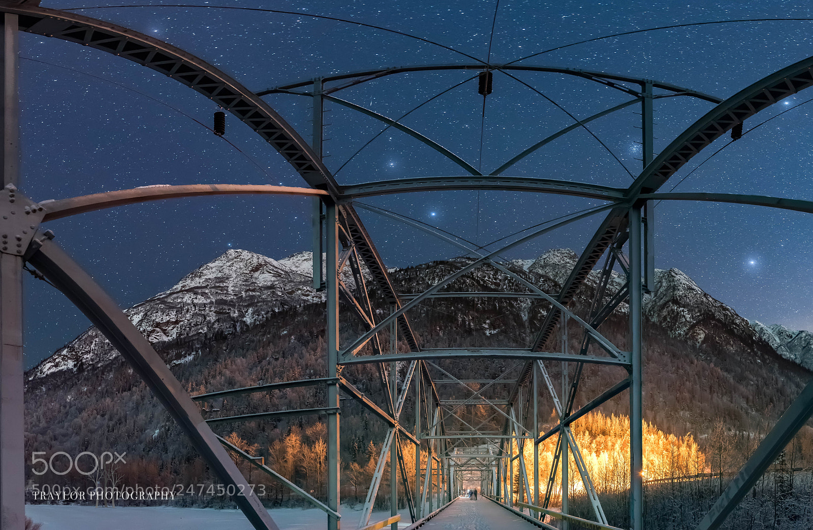 Nikon D810 sample photo. Gazing at the stars photography