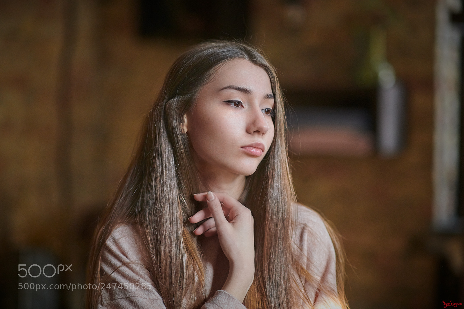 Nikon D850 sample photo. A long haired one photography