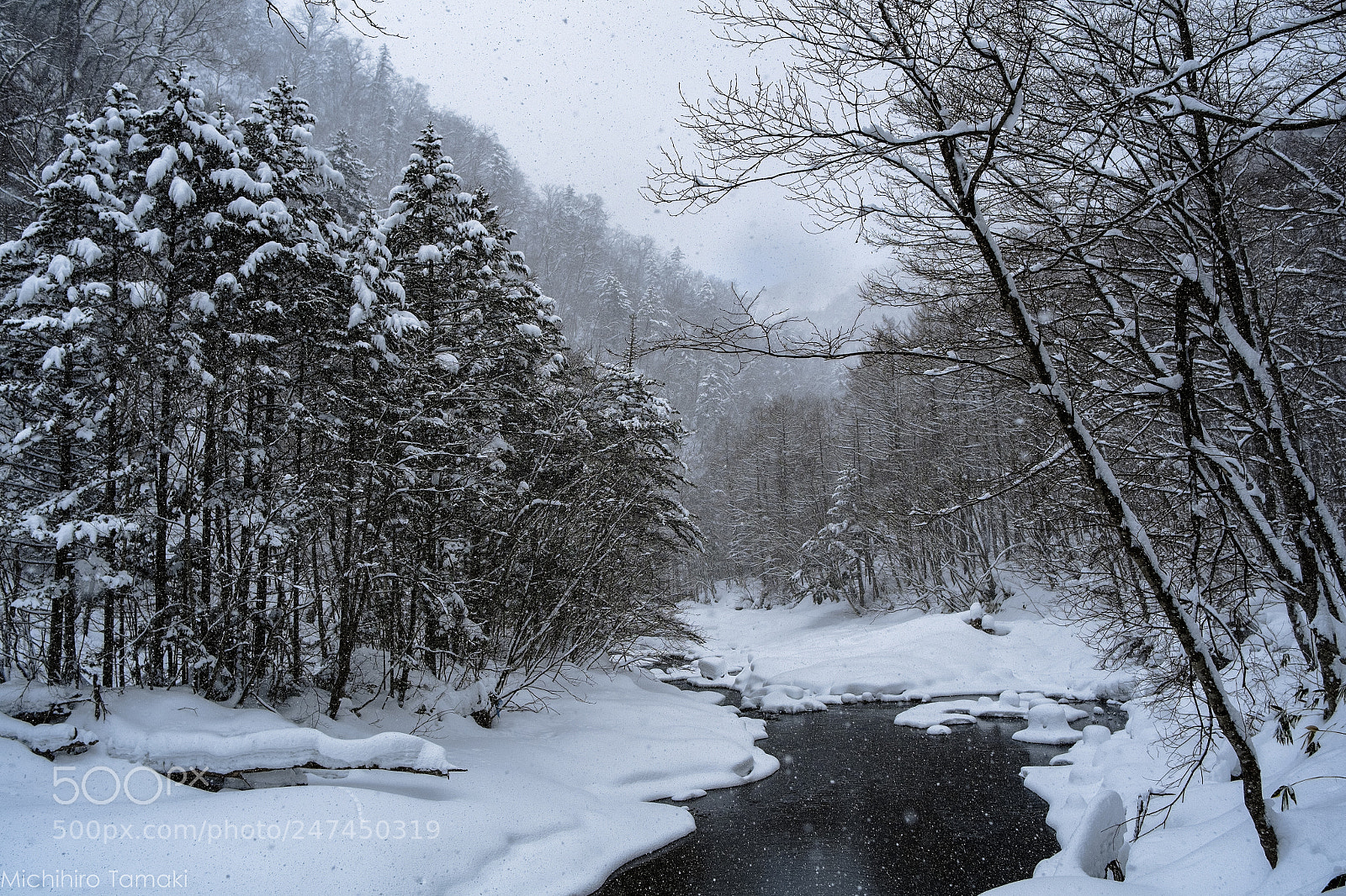 Fujifilm X-E1 sample photo. Forest, river, snowfall photography