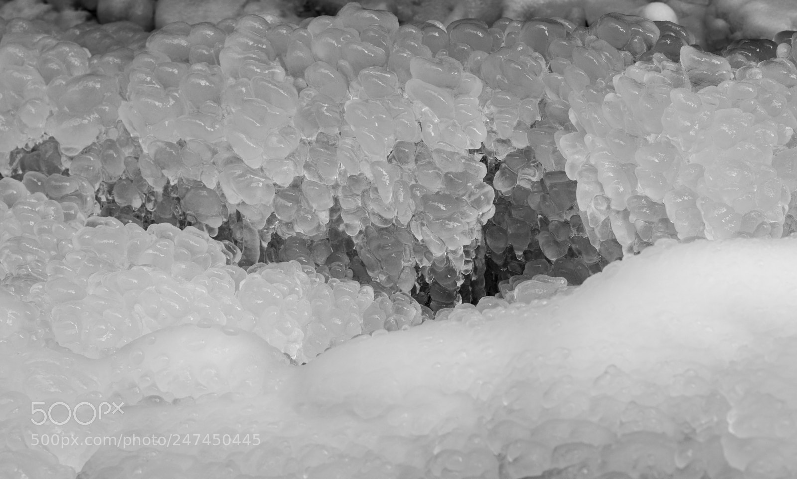 Fujifilm X-T1 sample photo. Ice cristalls photography