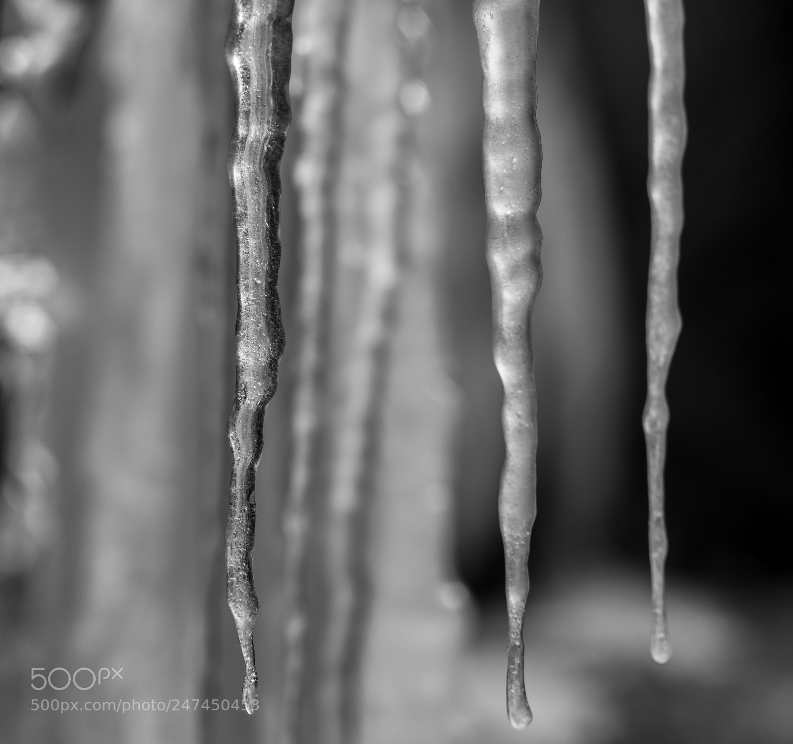 Fujifilm X-T1 sample photo. Winter time photography
