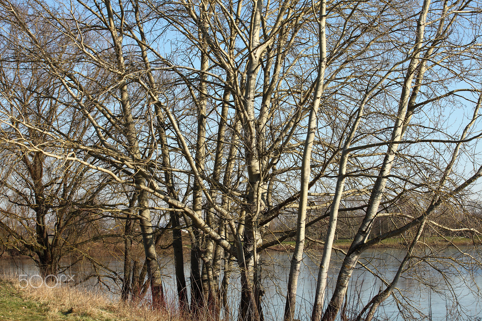 Canon EF 70-200mm F4L USM sample photo. The lake photography