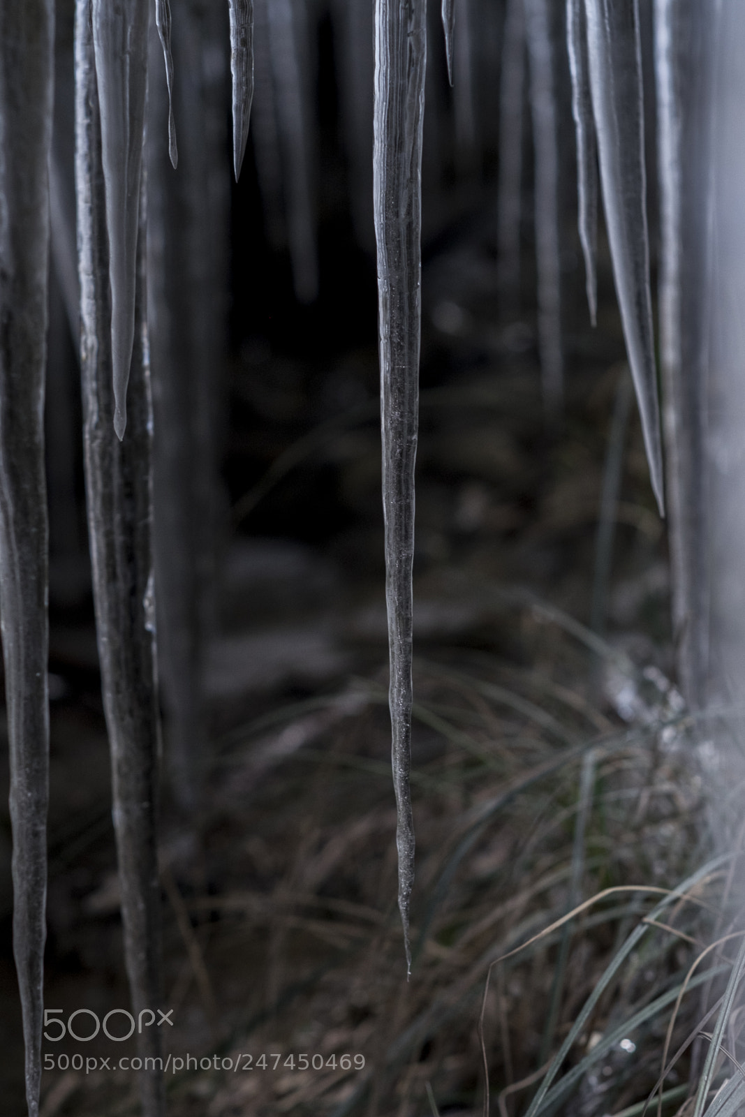 Fujifilm X-T1 sample photo. Moody winter photography