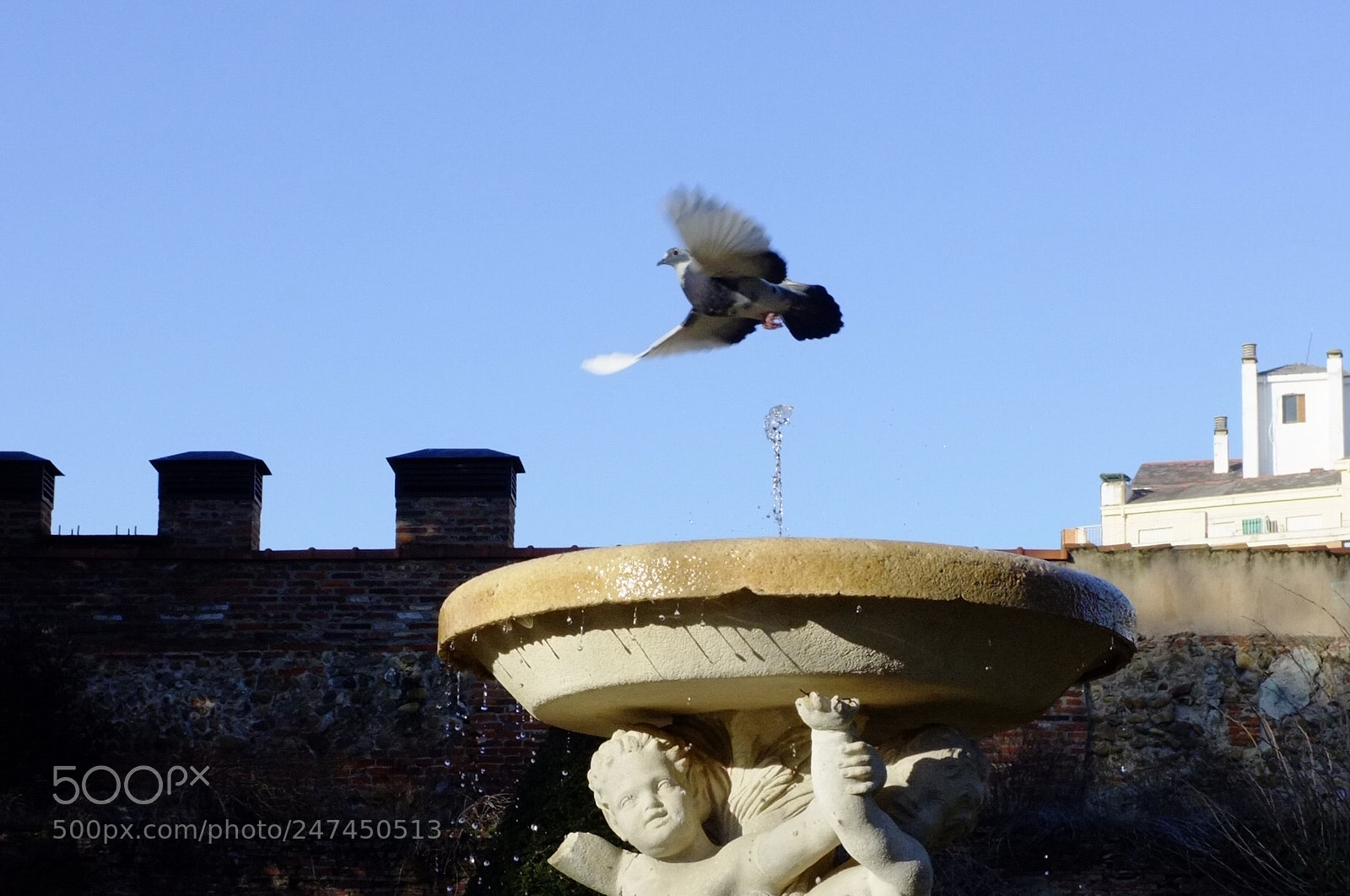 Fujifilm FinePix X100 sample photo. Vuelo de refresco photography