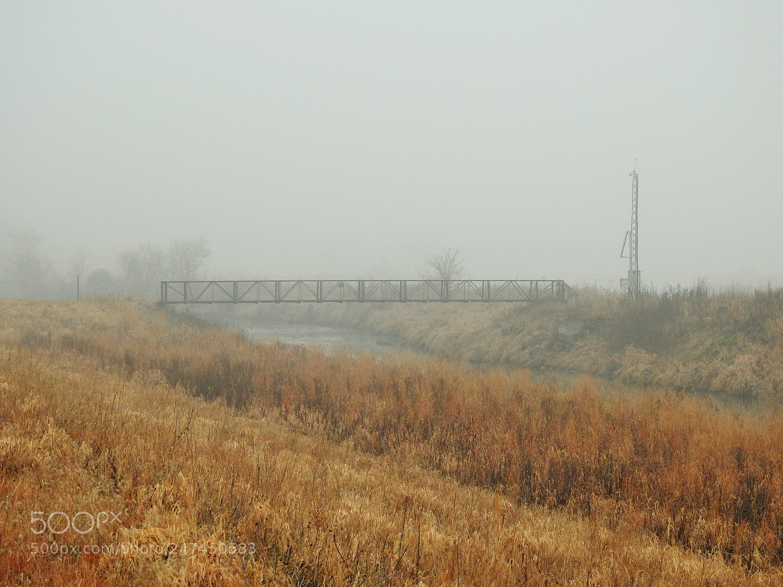 Nikon Coolpix P900 sample photo. Where's the bridge? photography