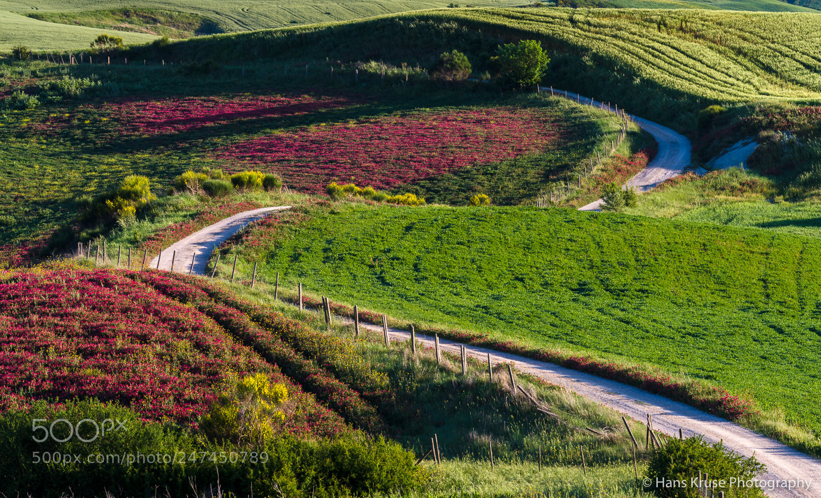 Nikon D810 sample photo. The road photography