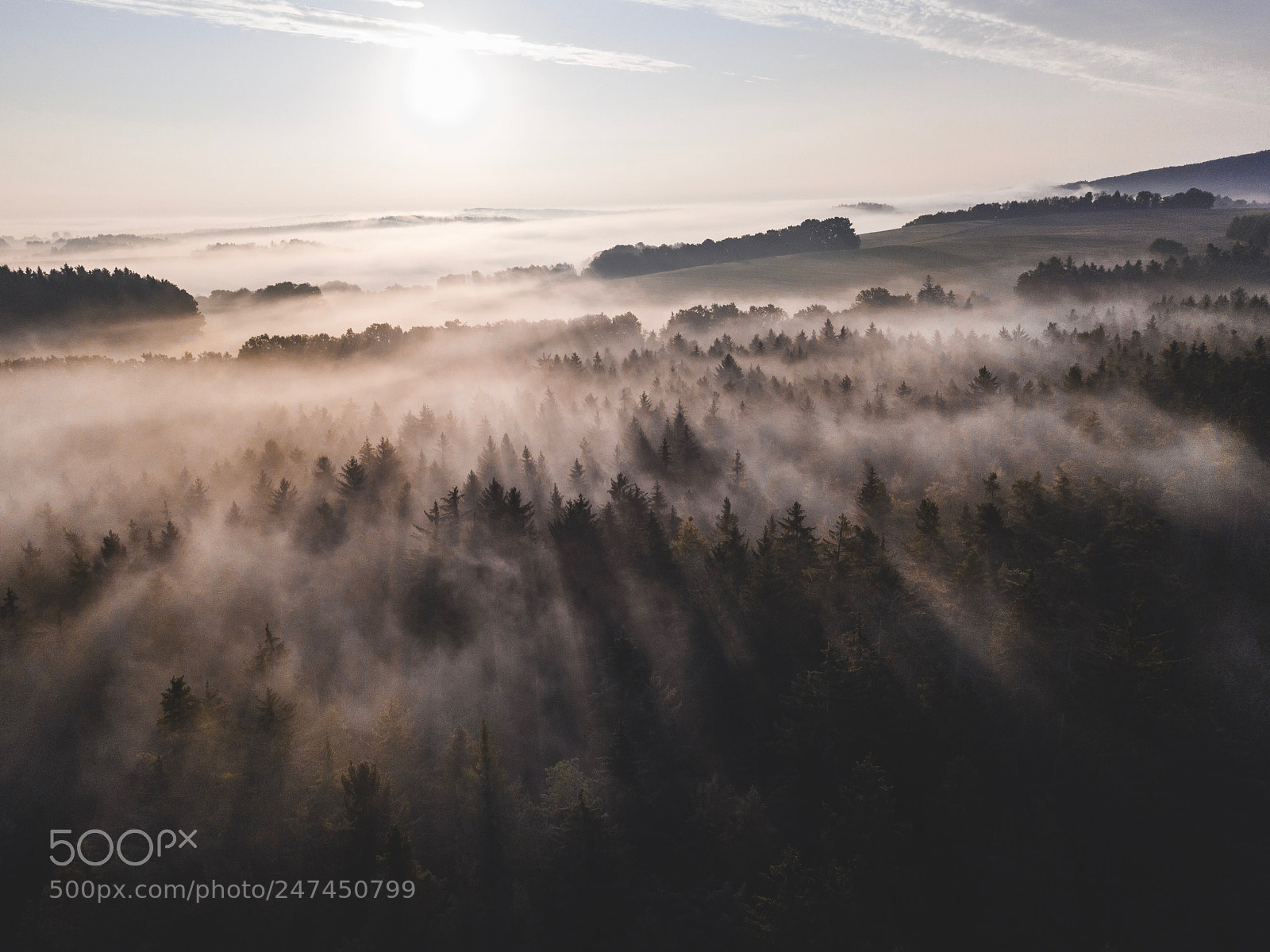 DJI FC220 sample photo. Misty morning photography