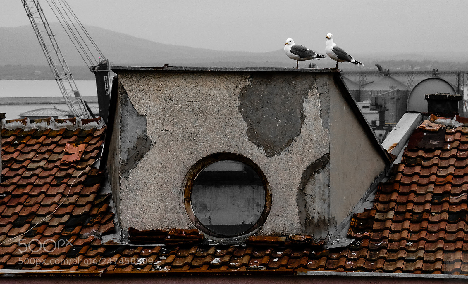 Sony Alpha NEX-3N sample photo. A couple on the photography