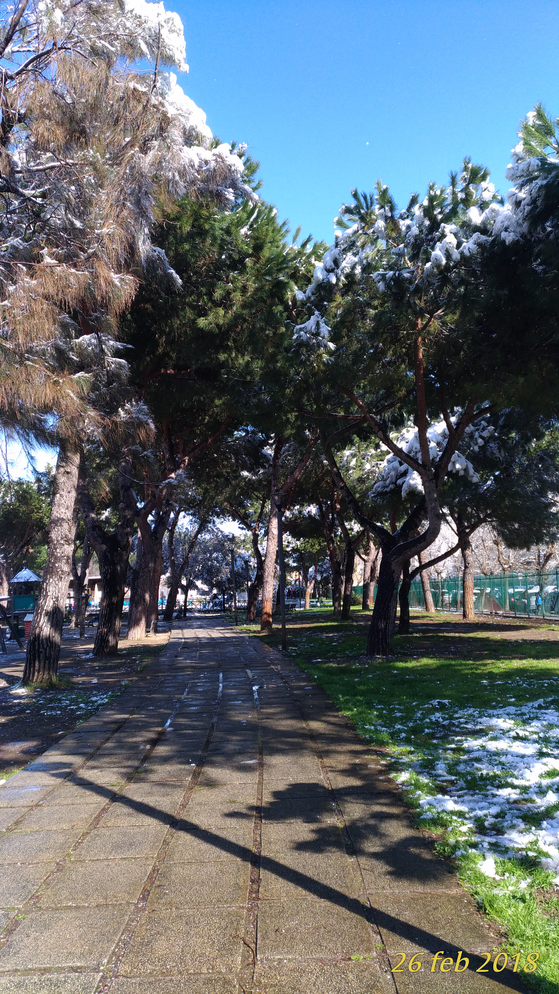 ASUS ZenFone 3 (ZE520KL) sample photo. Snow photography