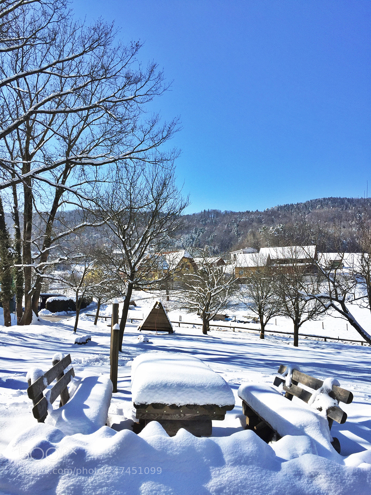 Apple iPhone 6 sample photo. Winter days photography