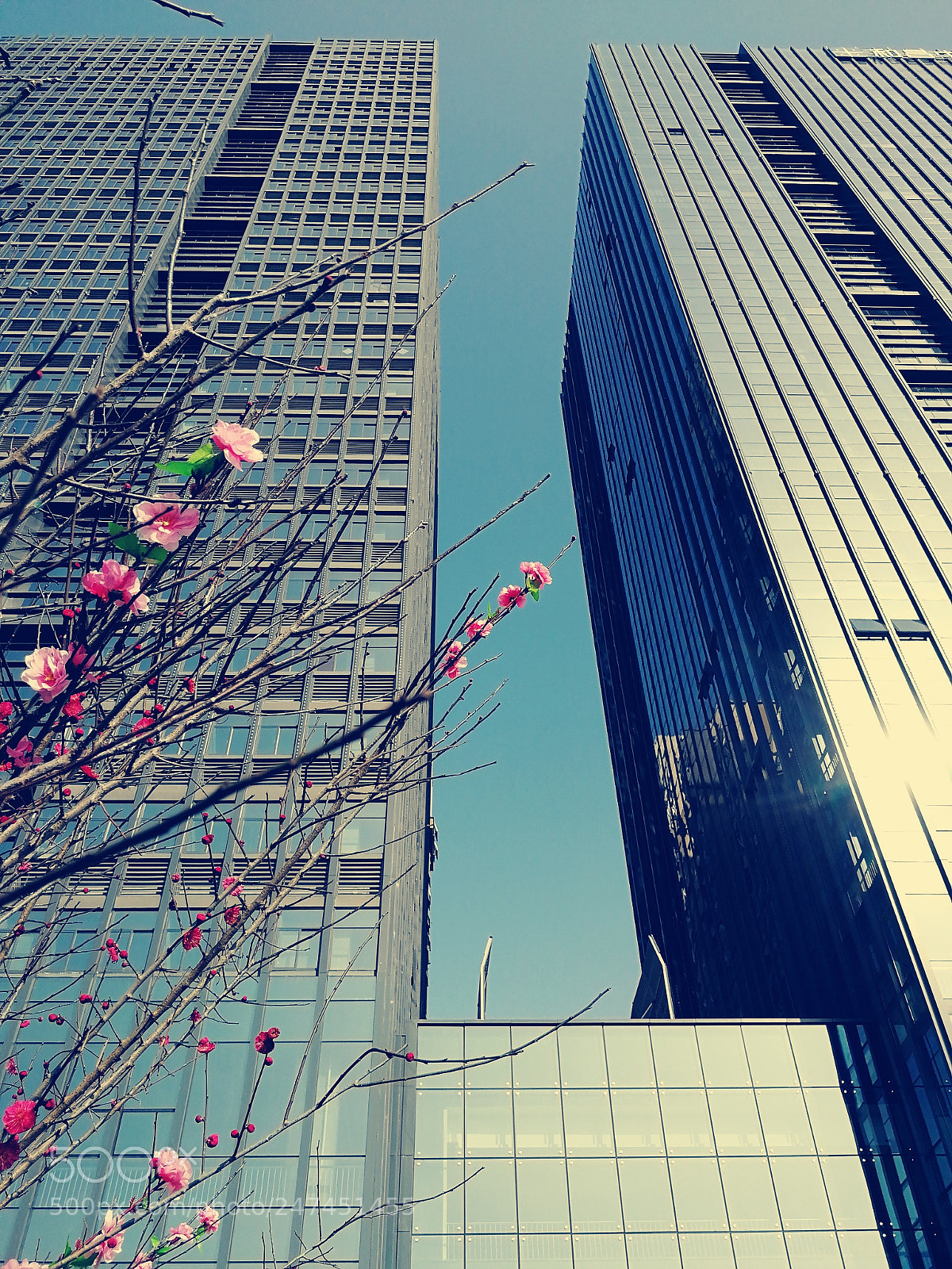 HUAWEI Honor 9 sample photo. Untitled photography