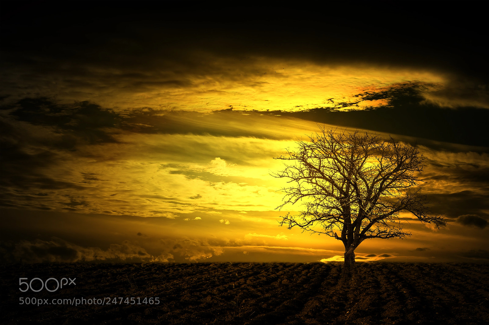 Nikon D3200 sample photo. Landscape photography