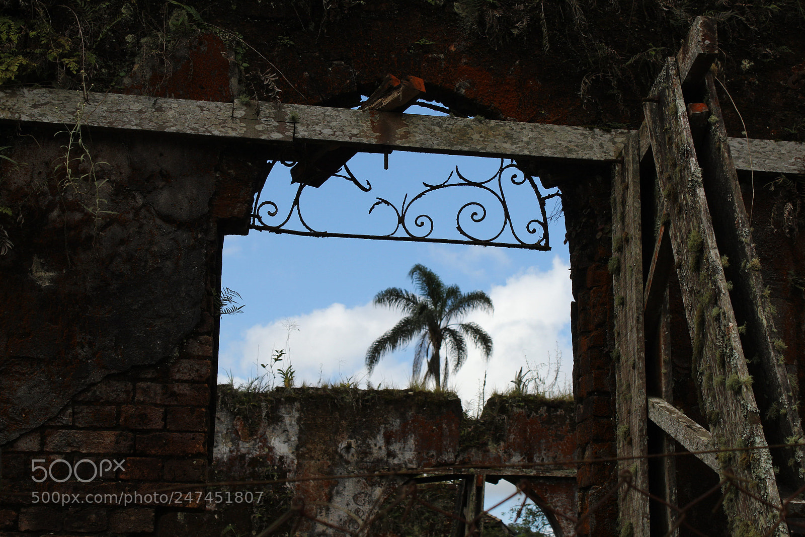 Canon EOS 1300D (EOS Rebel T6 / EOS Kiss X80) sample photo. Destroyed memories photography