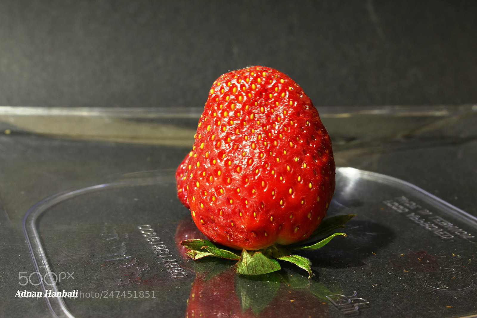 Canon EOS 700D (EOS Rebel T5i / EOS Kiss X7i) sample photo. Healthy eating photography