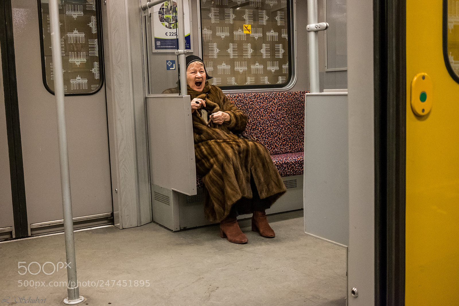 Fujifilm X-T1 sample photo. The  lion photography