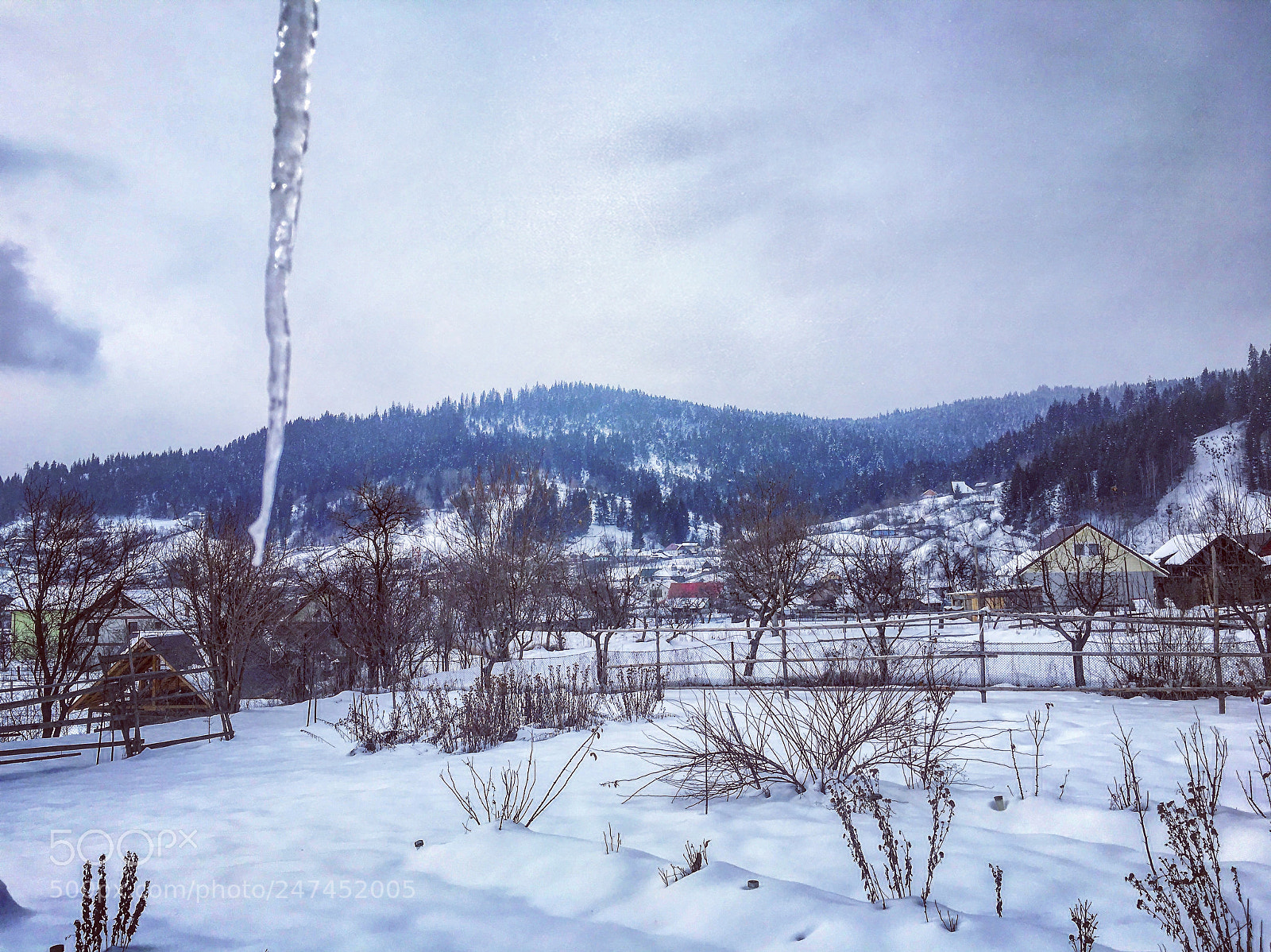 Apple iPhone 6s sample photo. A cold winter day photography