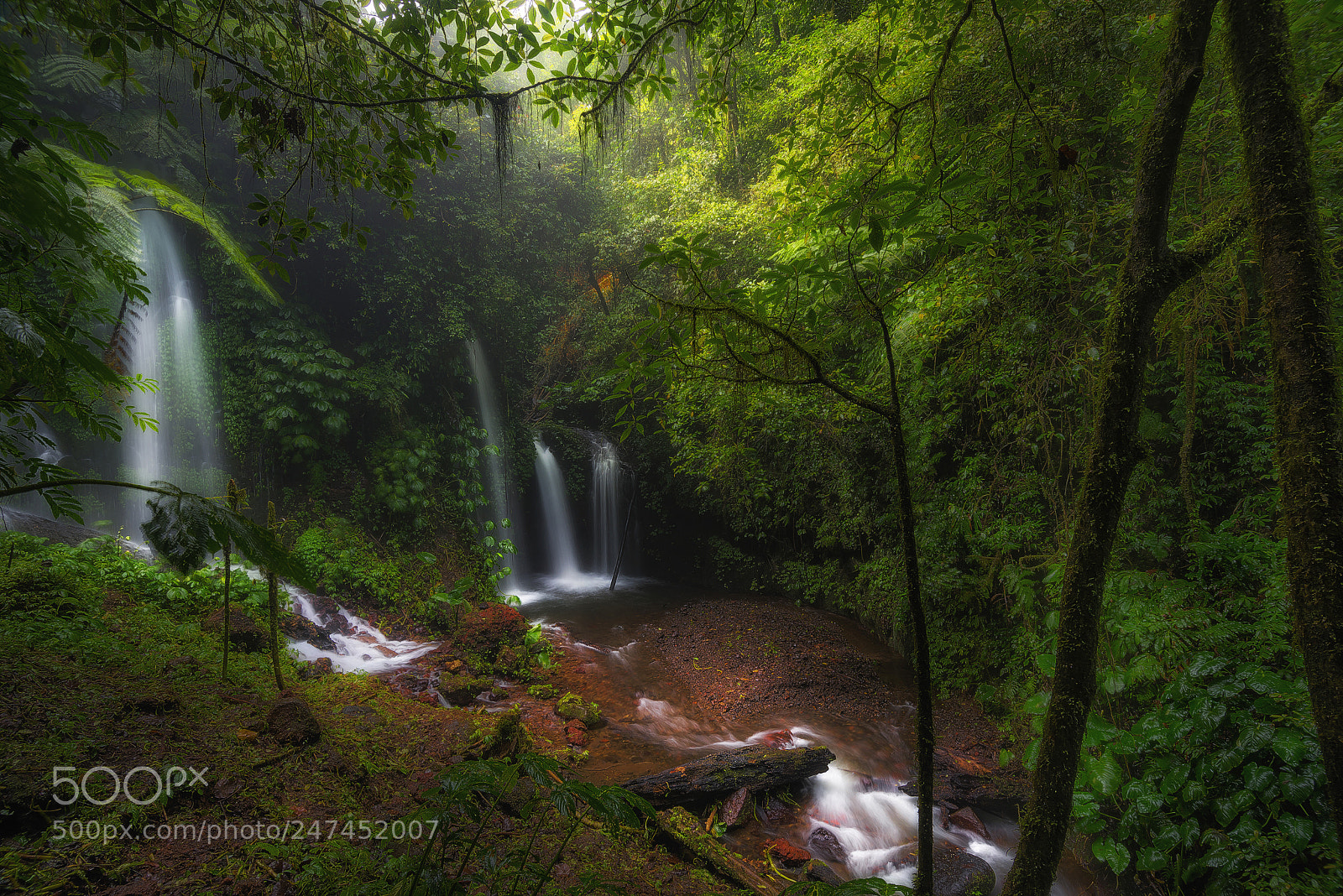 Nikon D750 sample photo. Waterfall in the middle photography