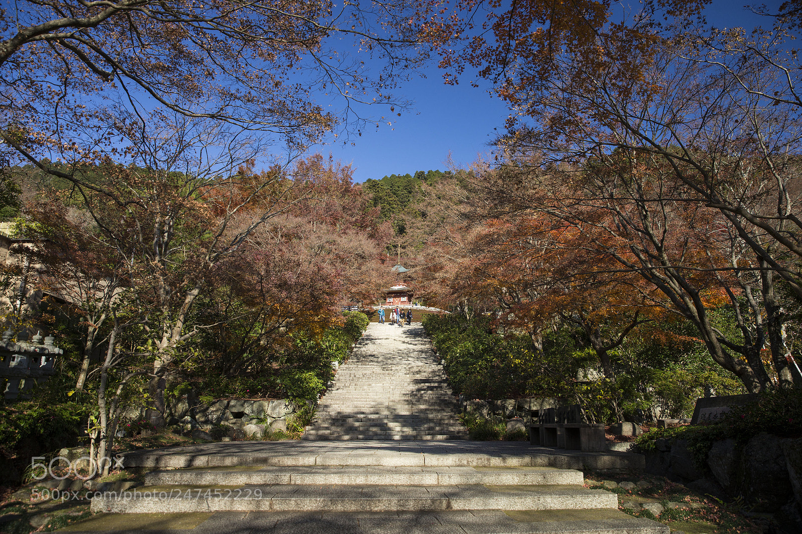 Canon EOS-1D X sample photo. 日本大阪勝尾寺 photography