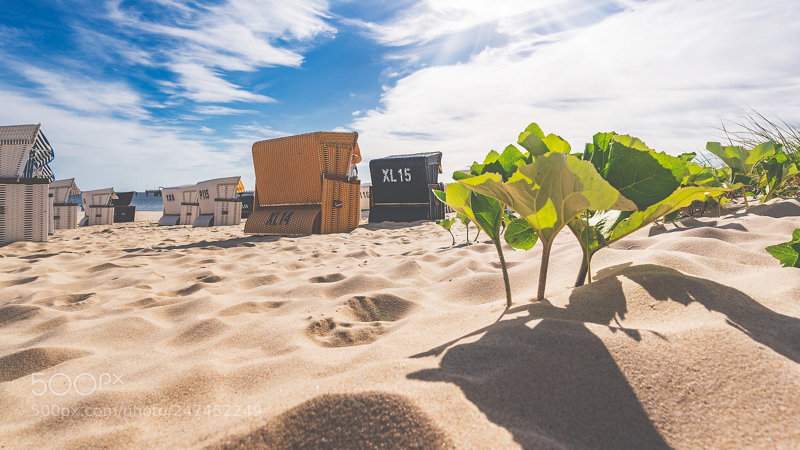 Sony a9 sample photo. Ostseestrand photography