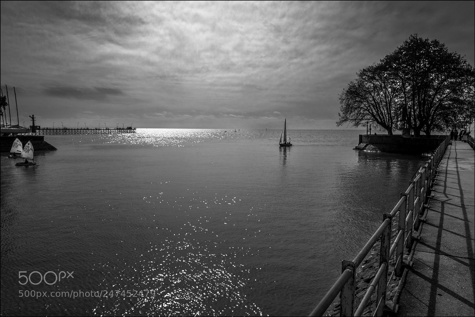 Leica Q (Typ 116) sample photo. Puerto de olivos photography
