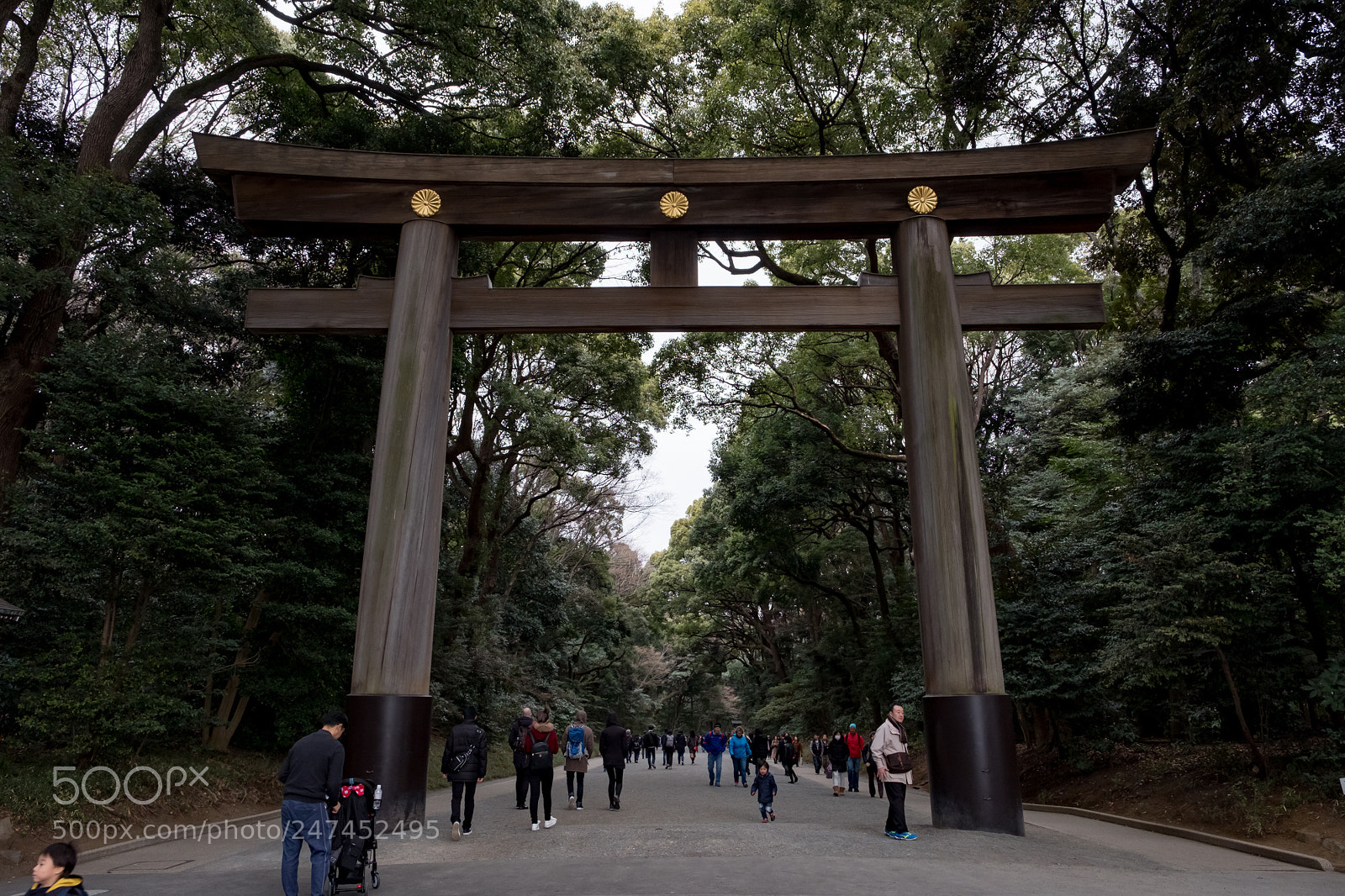 Fujifilm X-T2 sample photo. Meiji shrine photography