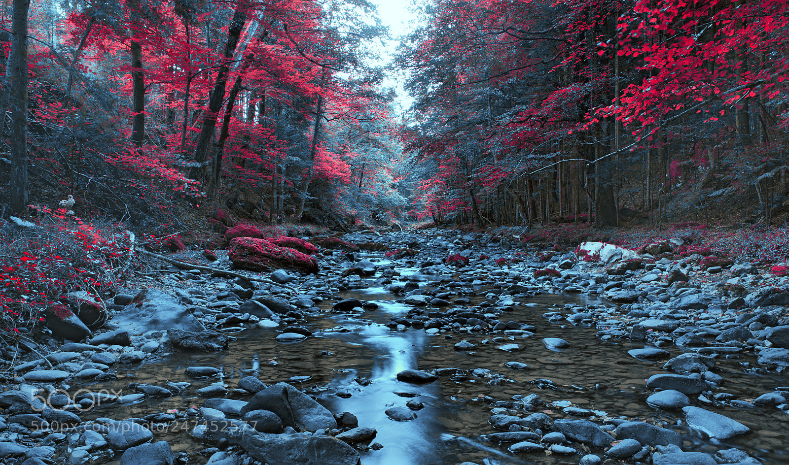 Nikon D610 sample photo. Mountain river photography
